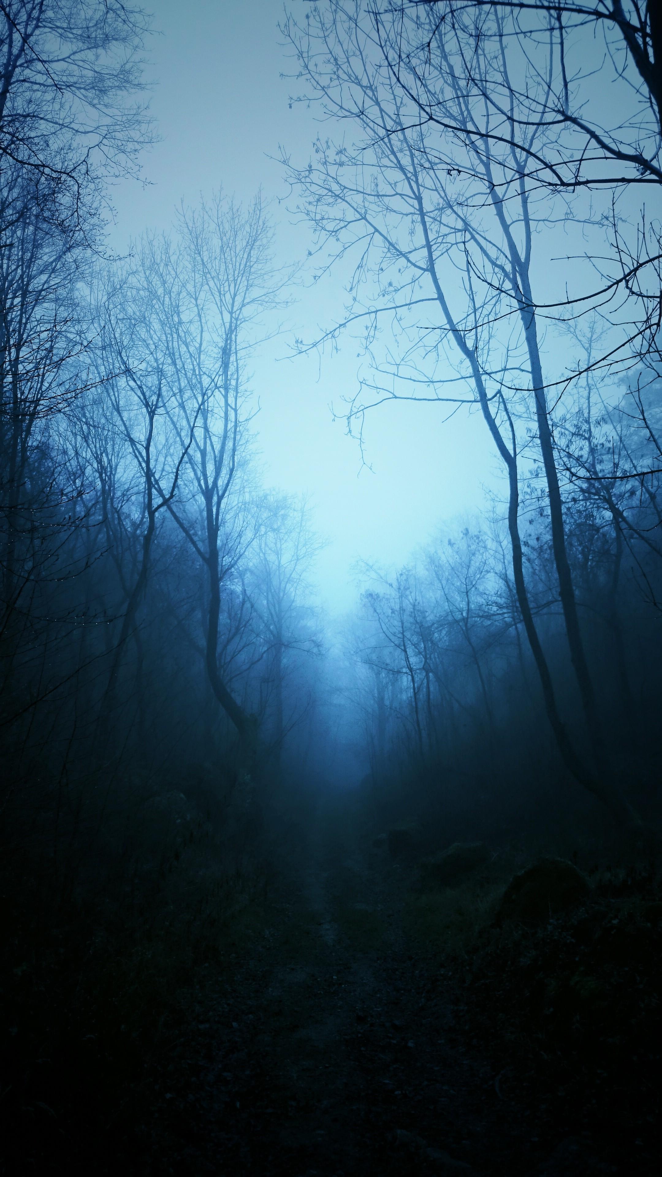 2160x3840 Dark Tree Background