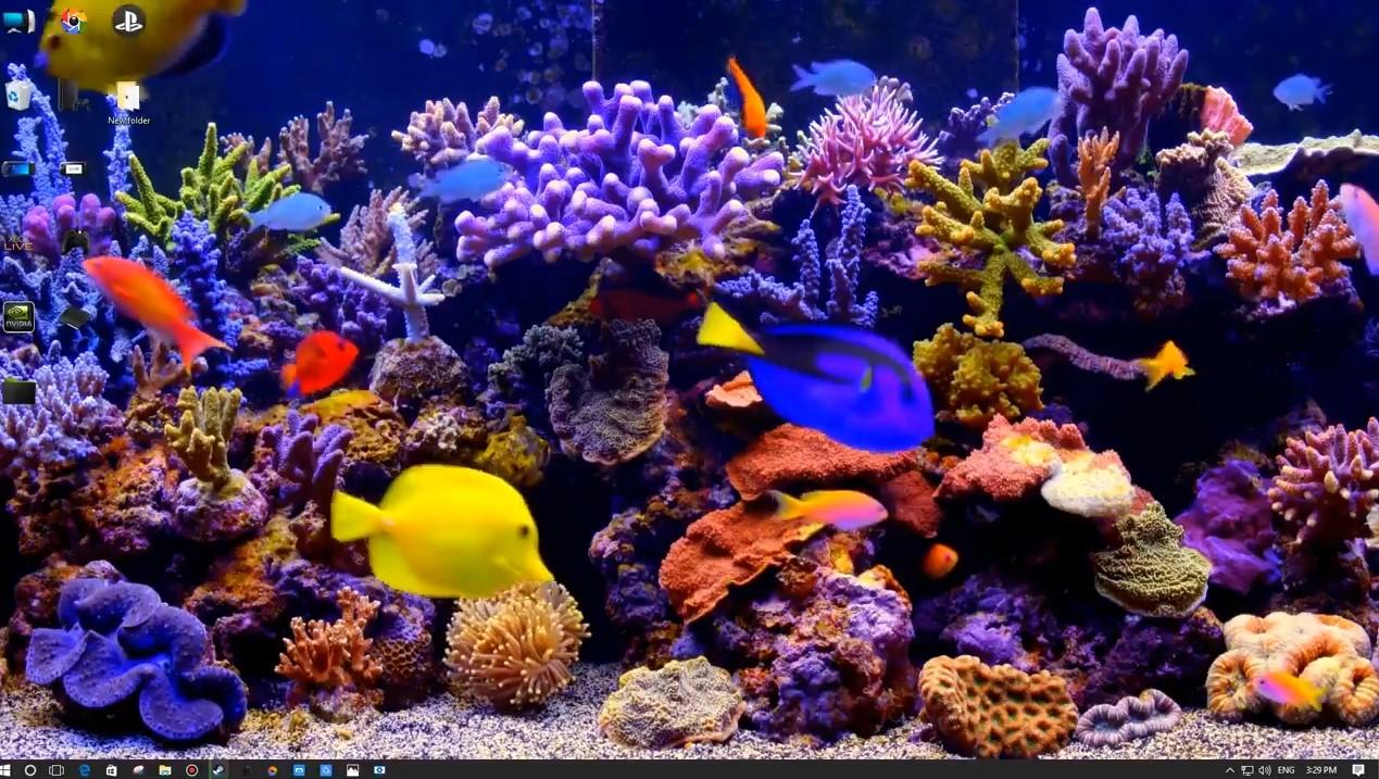 Ultra HD Aquarium Wallpapers - Top Free Ultra HD Aquarium Backgrounds ...