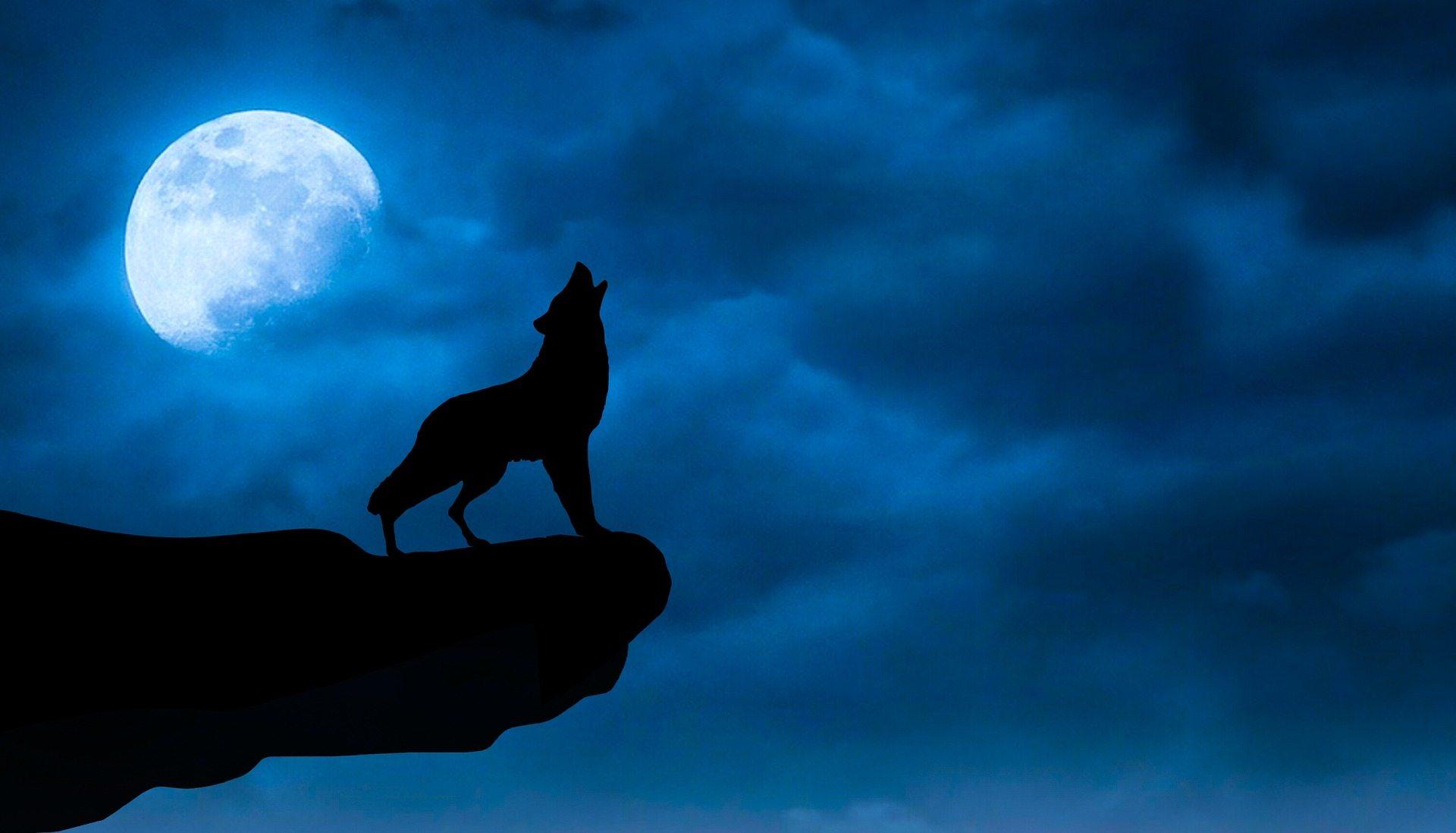 1920x1098 Dark Black Wolf Moon Wallpaper HD Free Download Sky With Wolf