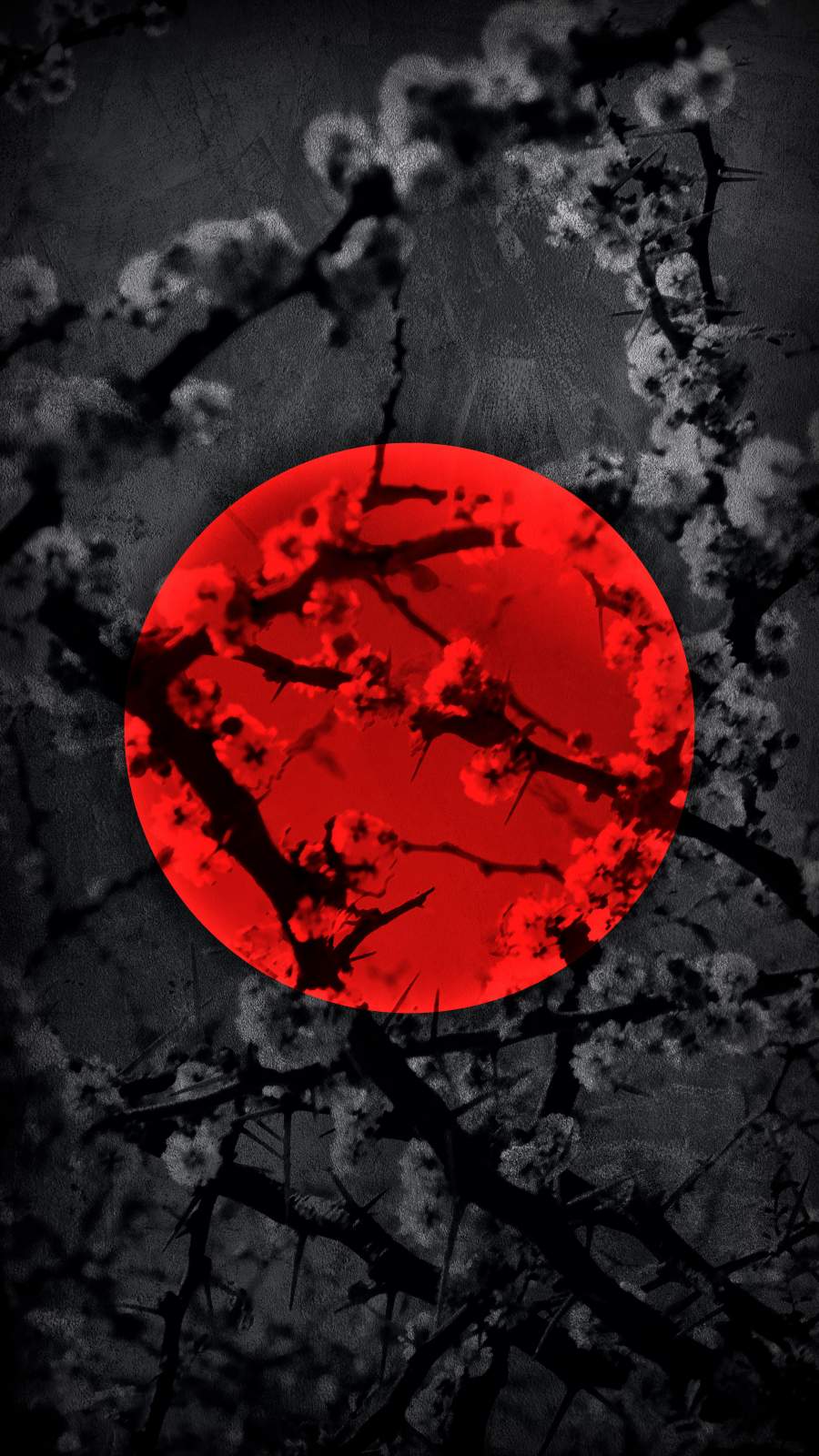 Red Moon Phone Wallpapers Top Free Red Moon Phone Backgrounds