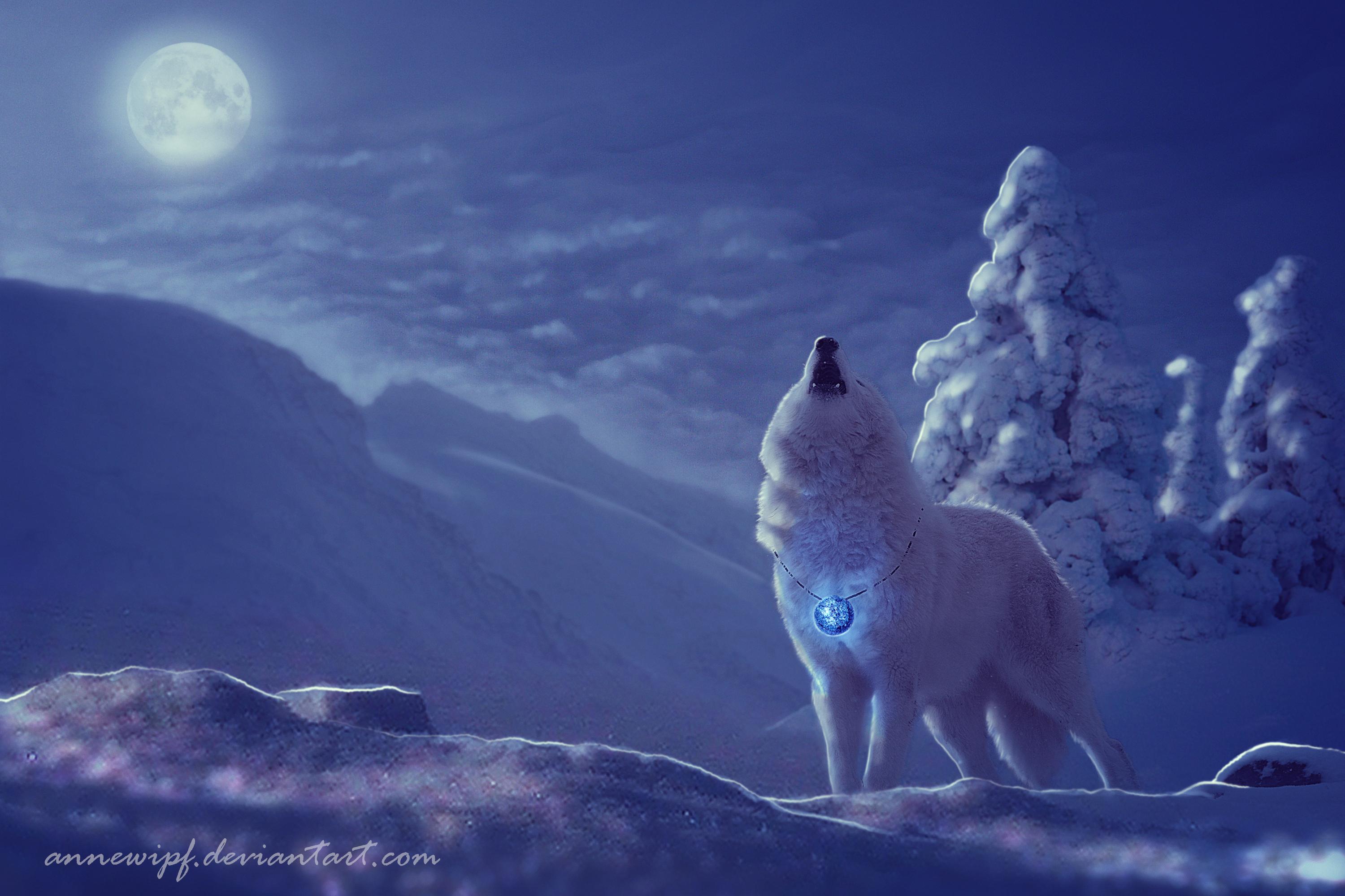 Wolf and Moon Wallpapers Top Free Wolf and Moon Backgrounds