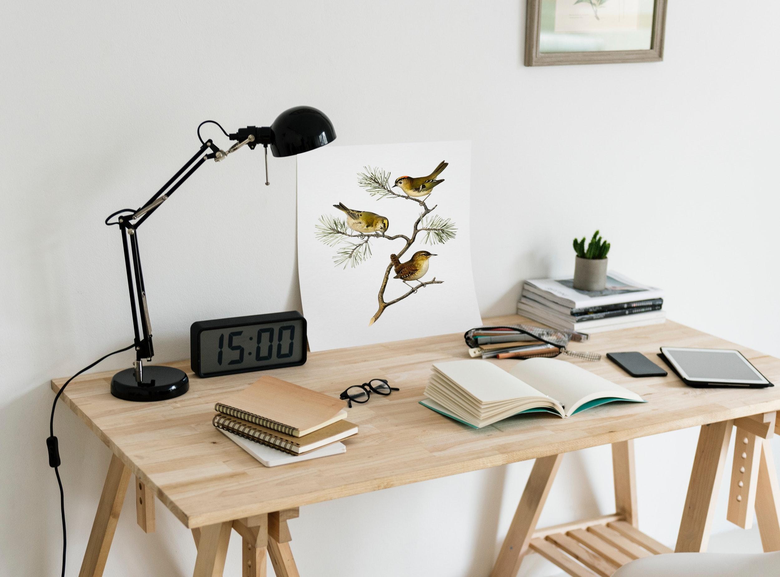 2500x1849 Free Image : furniture, computer desk, room, writing desk, interior design, technology, coffee table, plant, chair, lamp, shelf, office supplies, office equipment