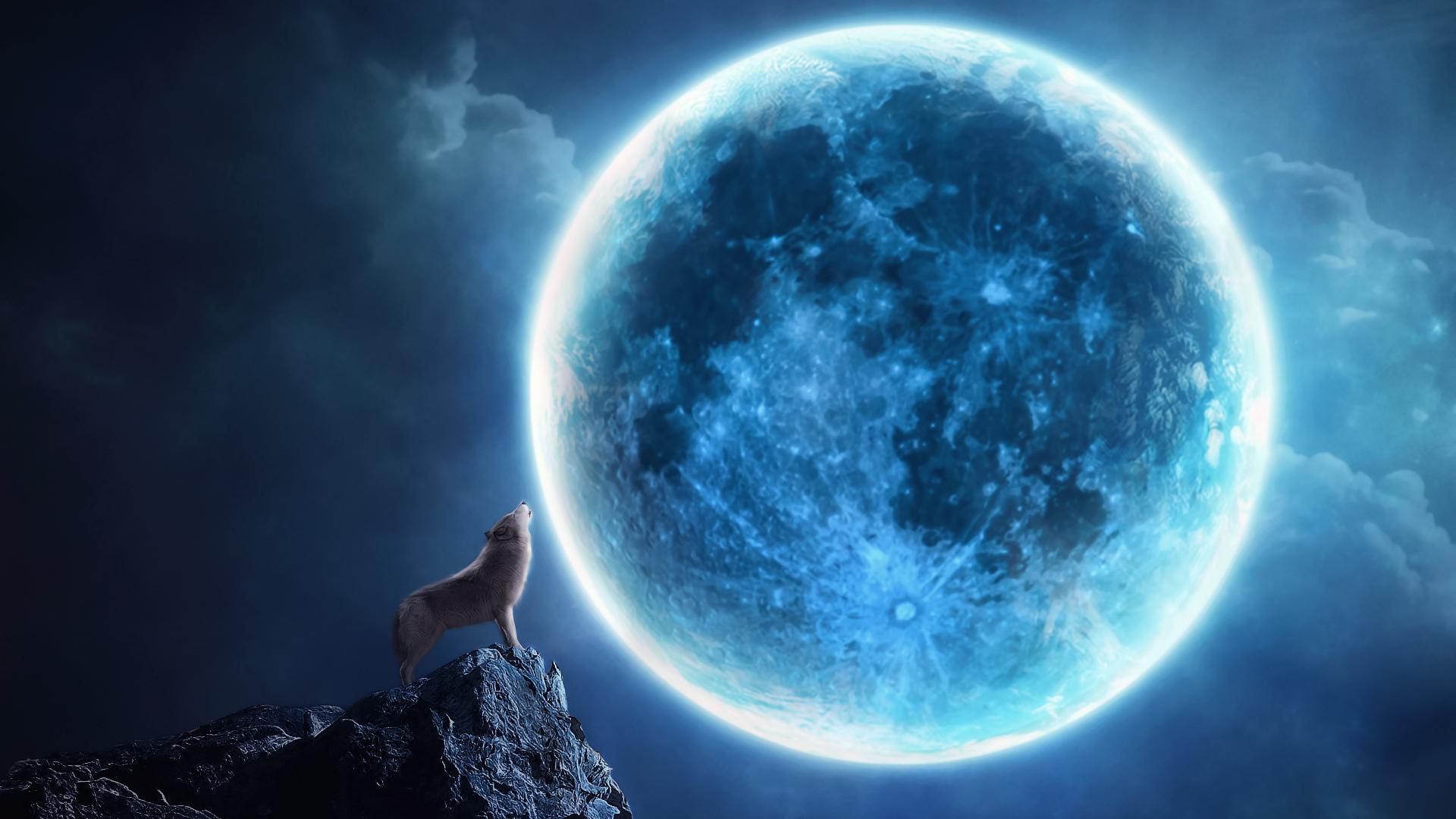 1920x1080 1920x1080 howl, Collage, night, wolf, moon, rock