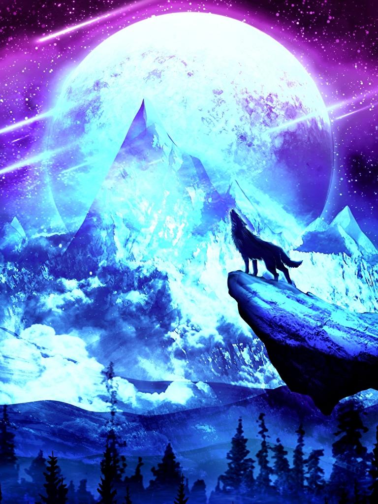 768x1024 Wolf moon [3840x2160]: wallpaper