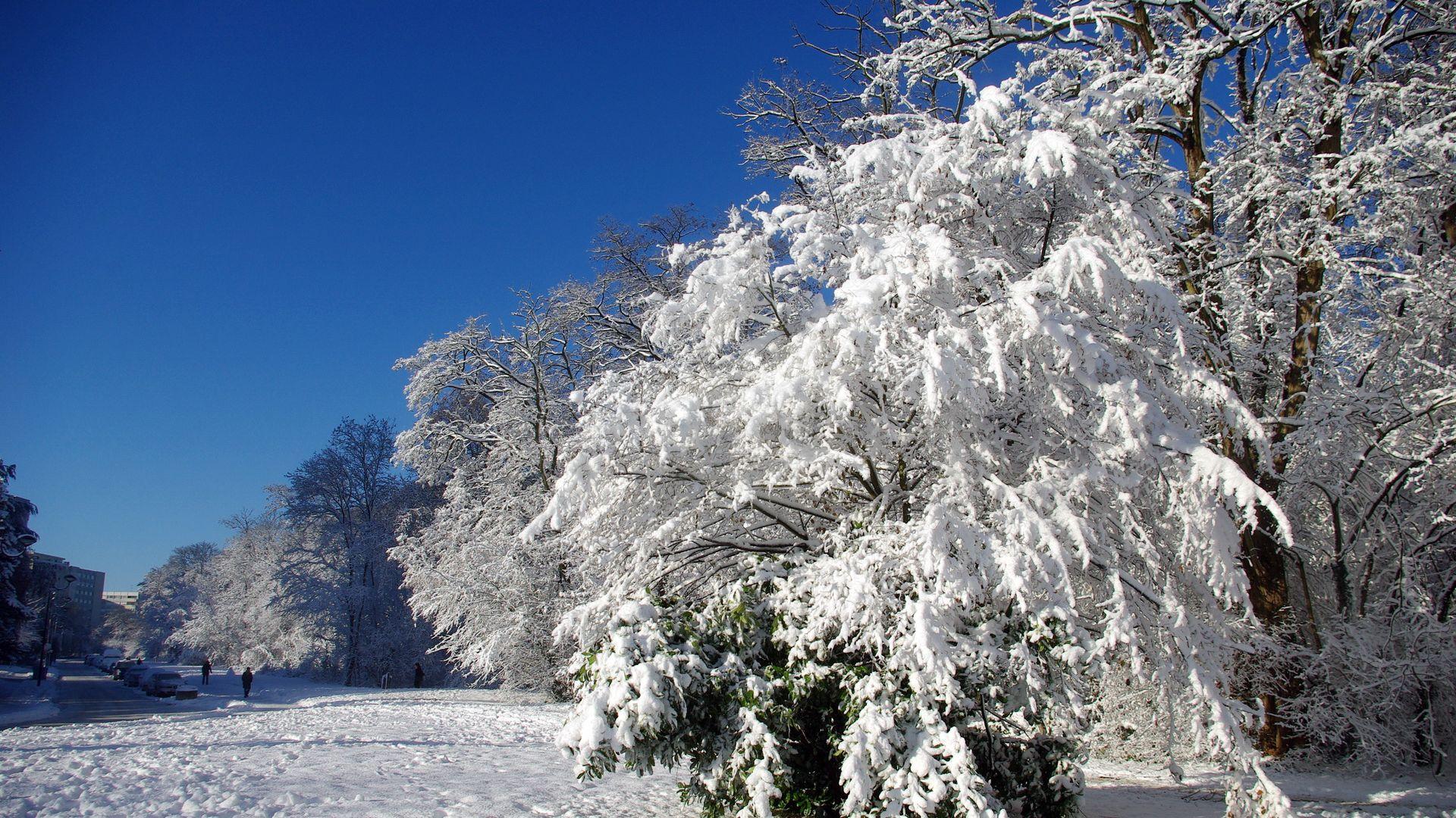 1920x1080 Download Wallpaper 1920x1080 France, Velizi Vilakubl, Trees, Hoarfrost, Snow, Winter, Clearly Full Hd, Hdtv, Fhd, 1080p HD Background
