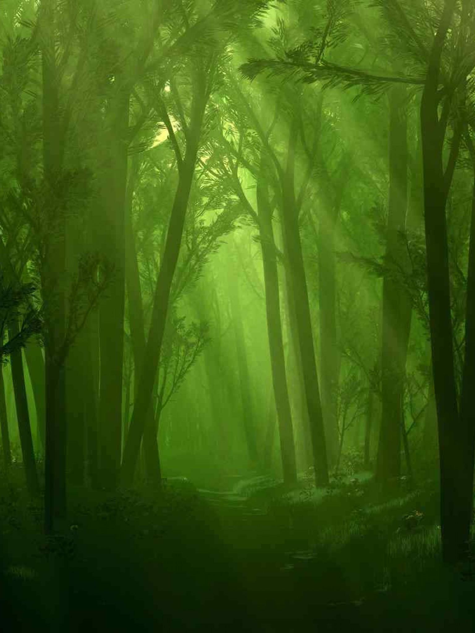 1536x2048 Enchanted Forest HD Wallpaper Retina iPad