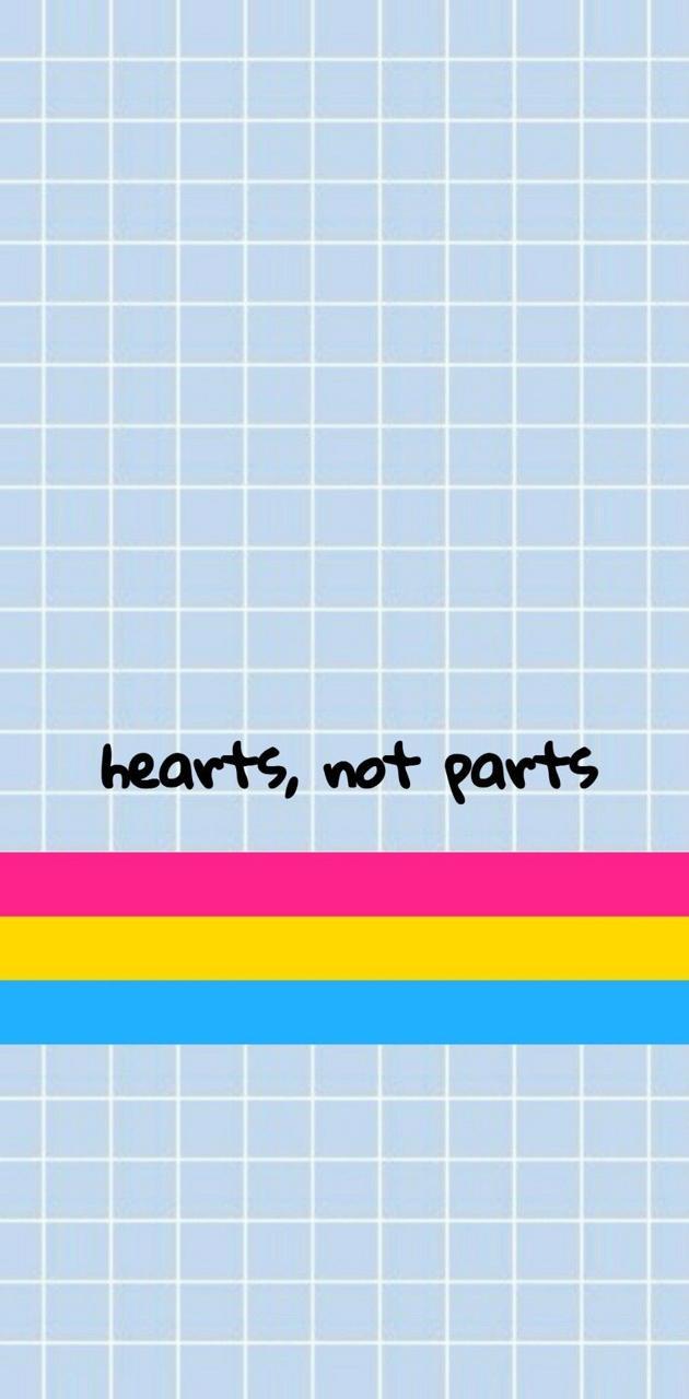 630x1280 Pansexual Pride wallpaper