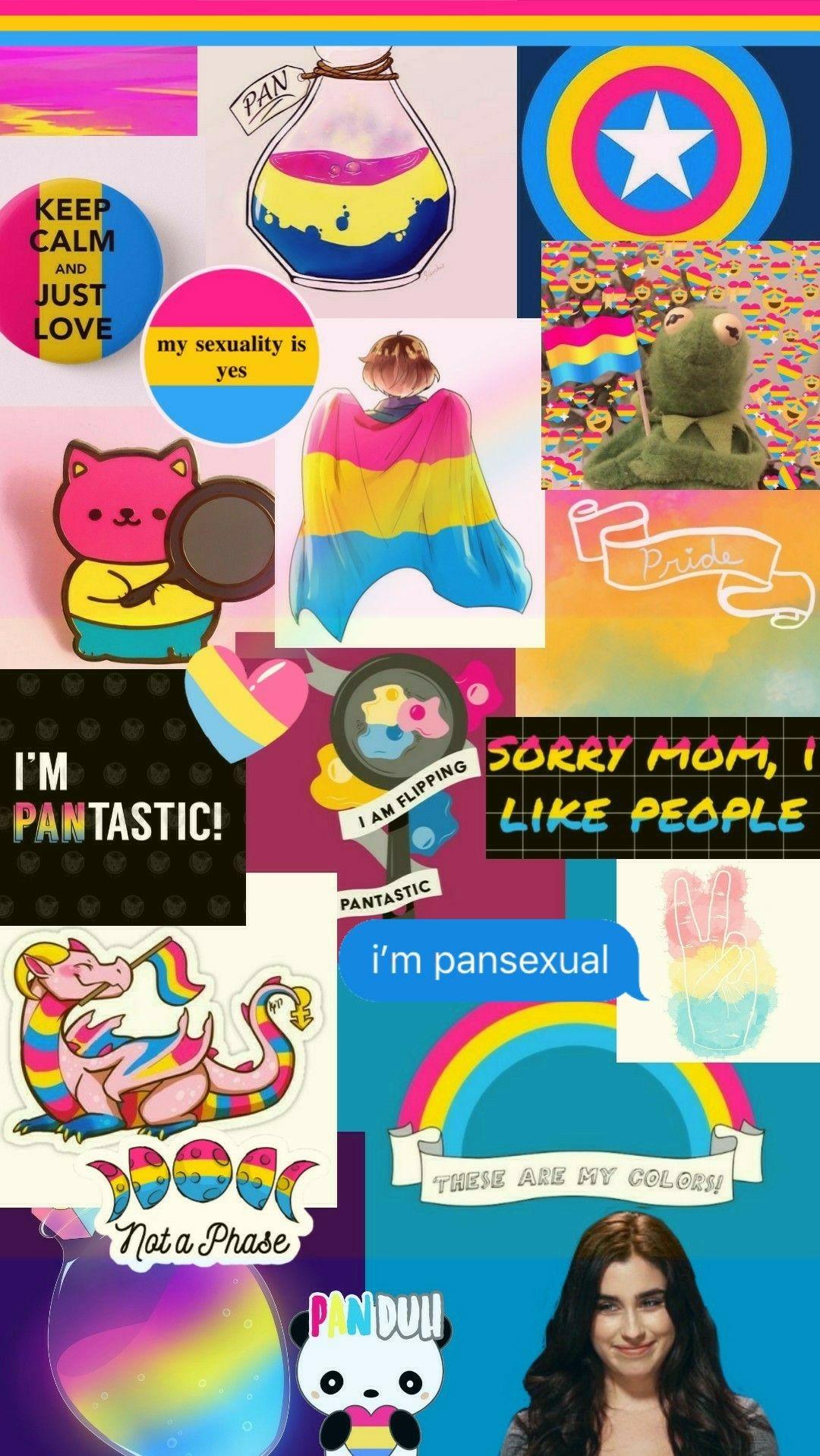 1080x1917 Pansexual pride