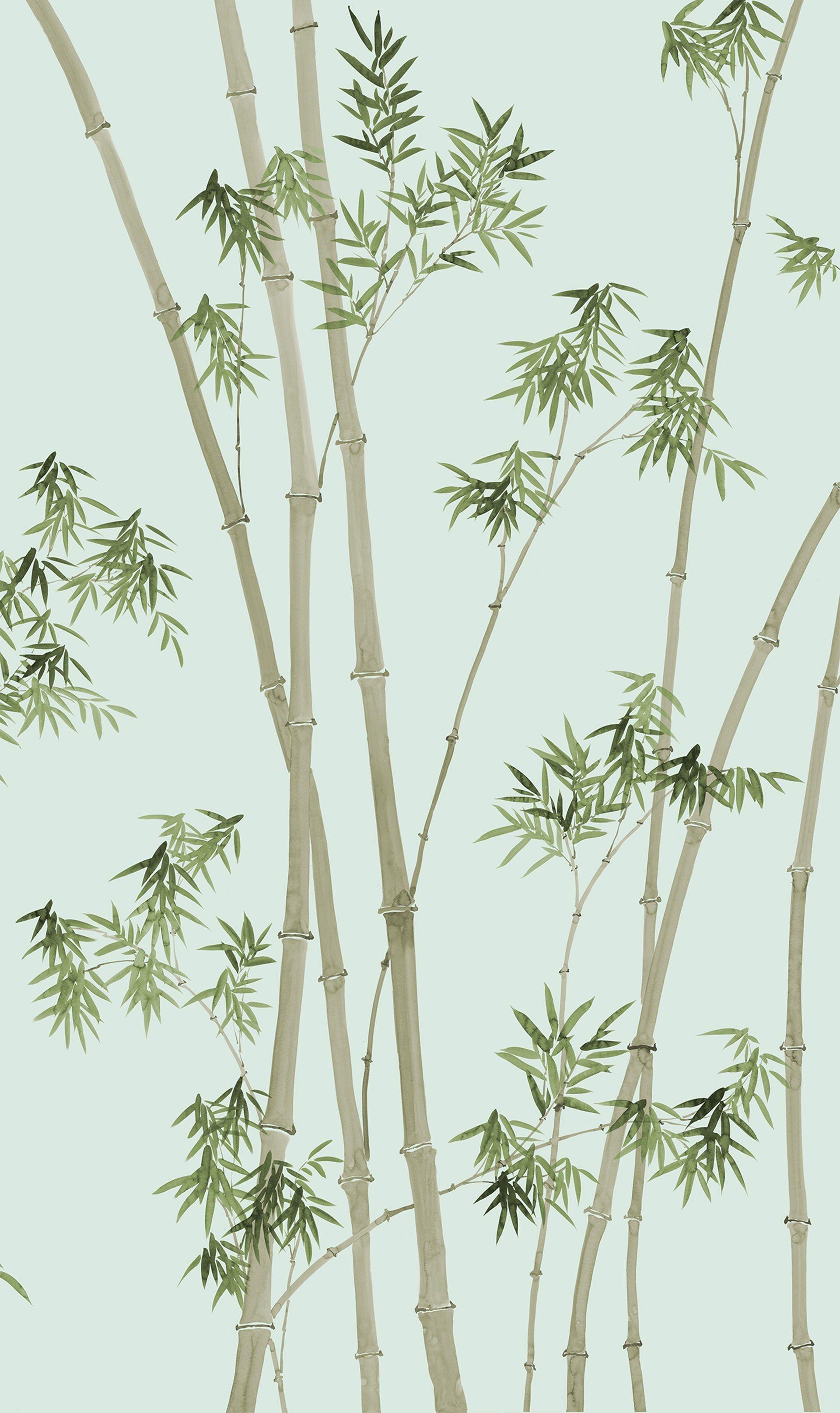 1920x3230 Bamboo Wallpaper, HD Bamboo Background