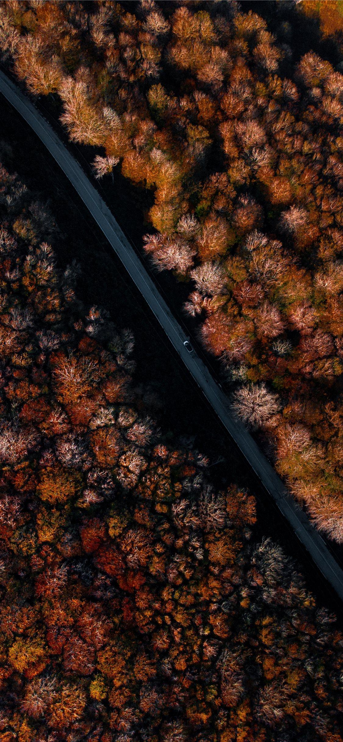 1125x2436 we were going towards an unknown destination while. iPhone X Wallpaper Free Download