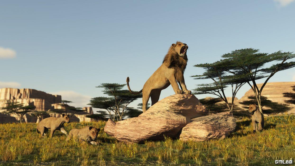 1244x700 Proud Lion wallpaperx1080
