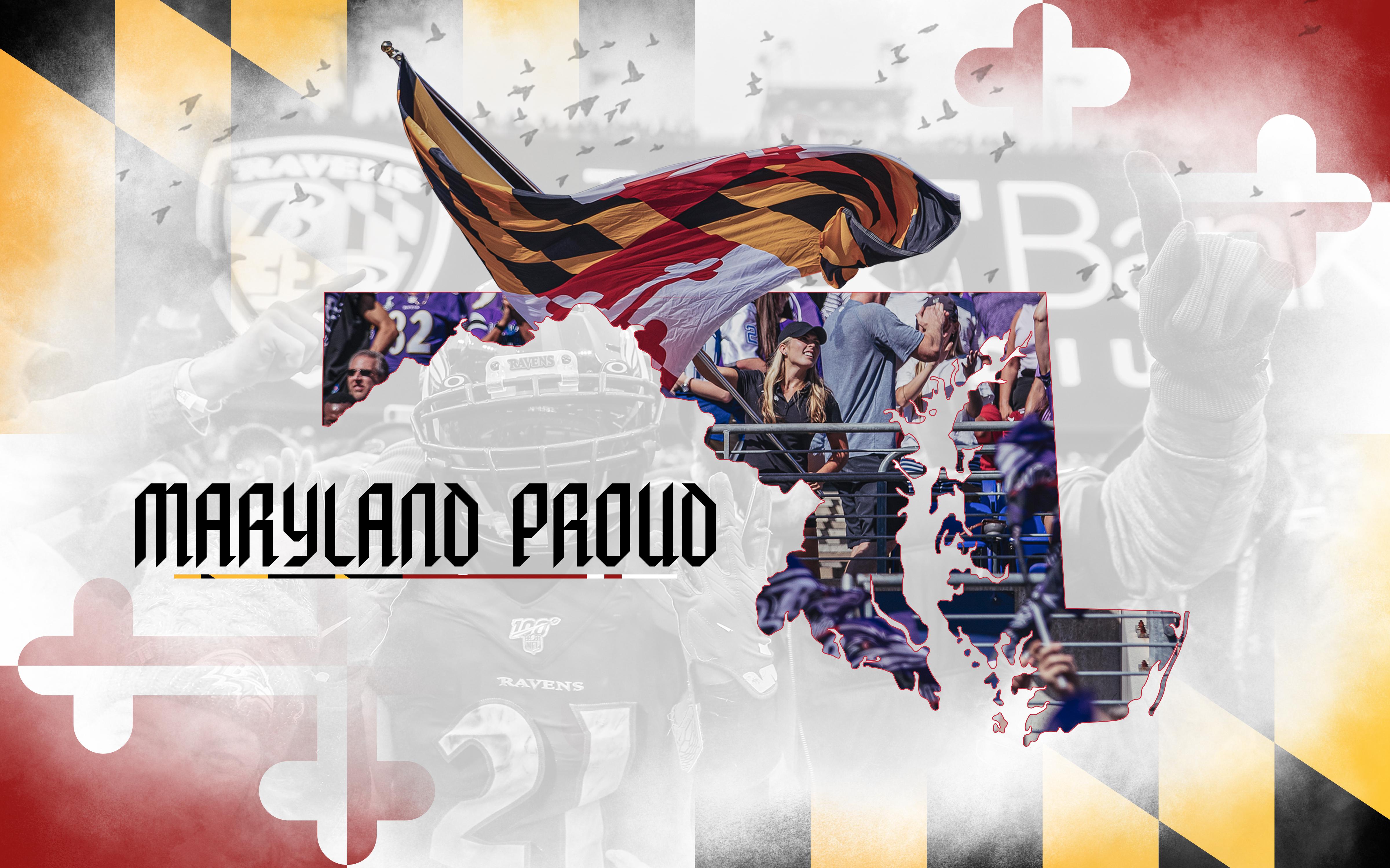 4800x3000 Ravens Wallpaper