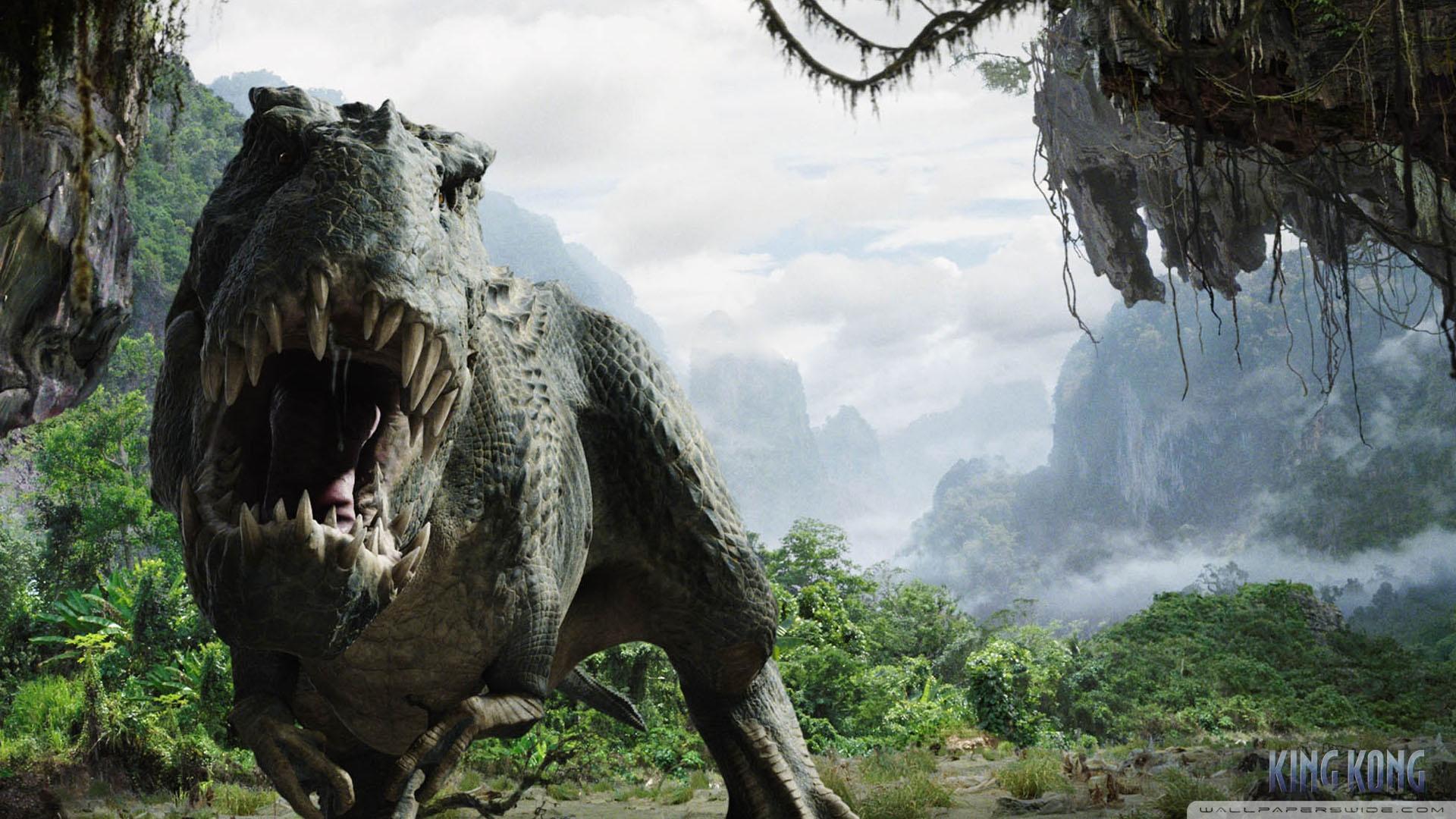 1920x1080 King Kong 3 Ultra HD Desktop Background Wallpaper for 4K UHD TV : Widescreen & UltraWide Desktop & Laptop : Tablet