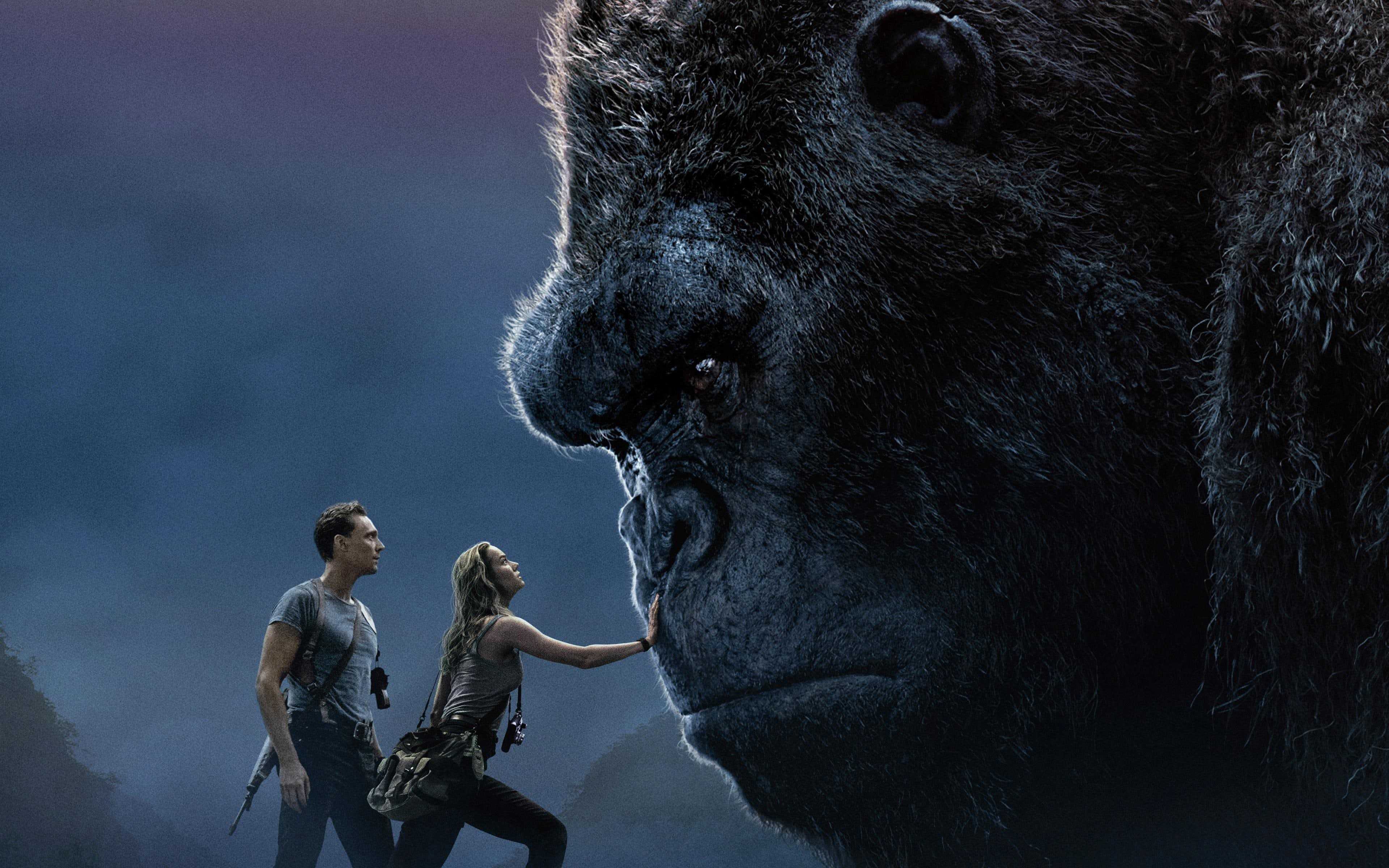3840x2400 4K King Kong Wallpaper Free HD Wallpaper