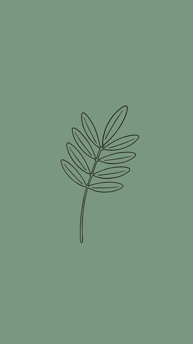 750x1333 dam ✾