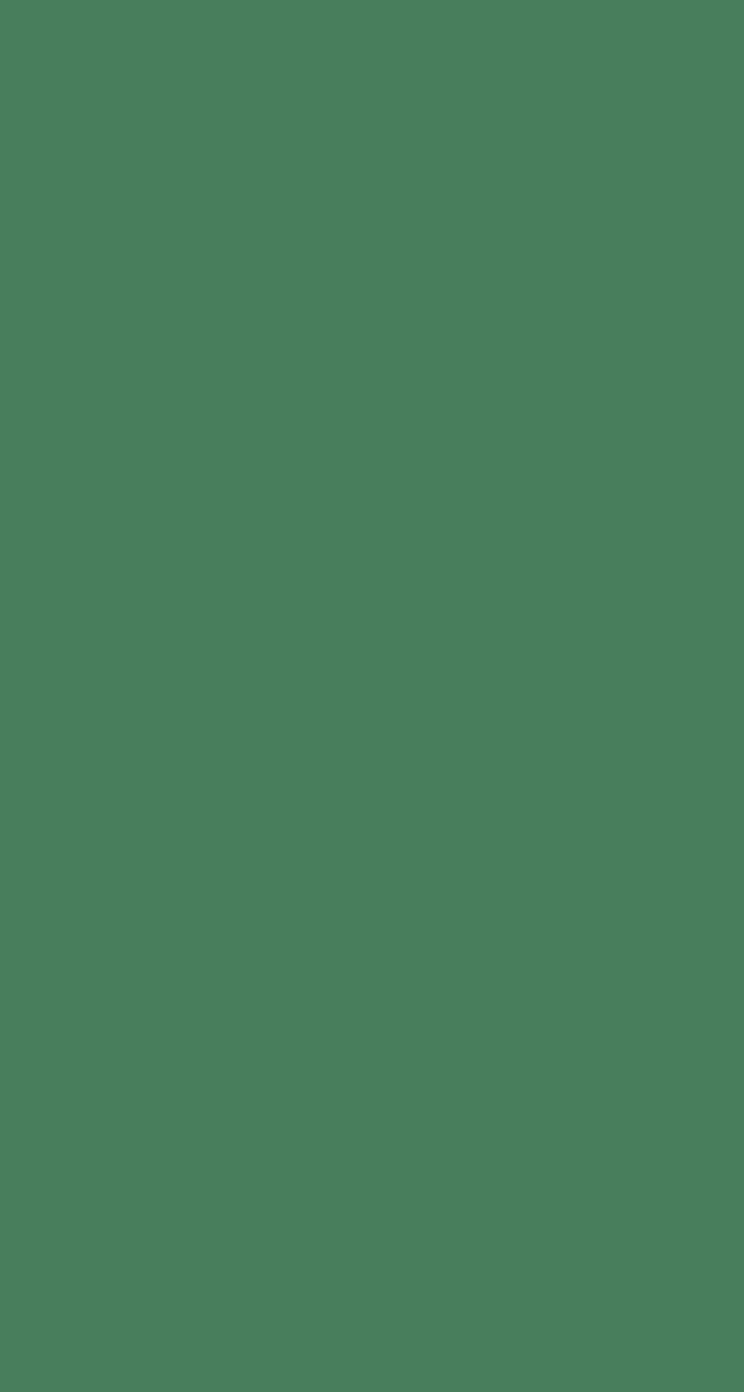 744x1392 Green Wallpaper