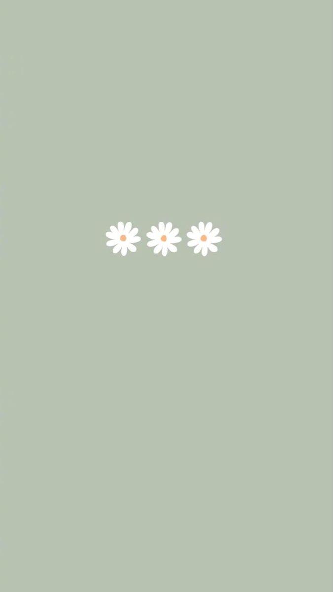 676x1200 Wallpaper•. iPhone wallpaper green, Simple iphone wallpaper, Daisy wallpaper