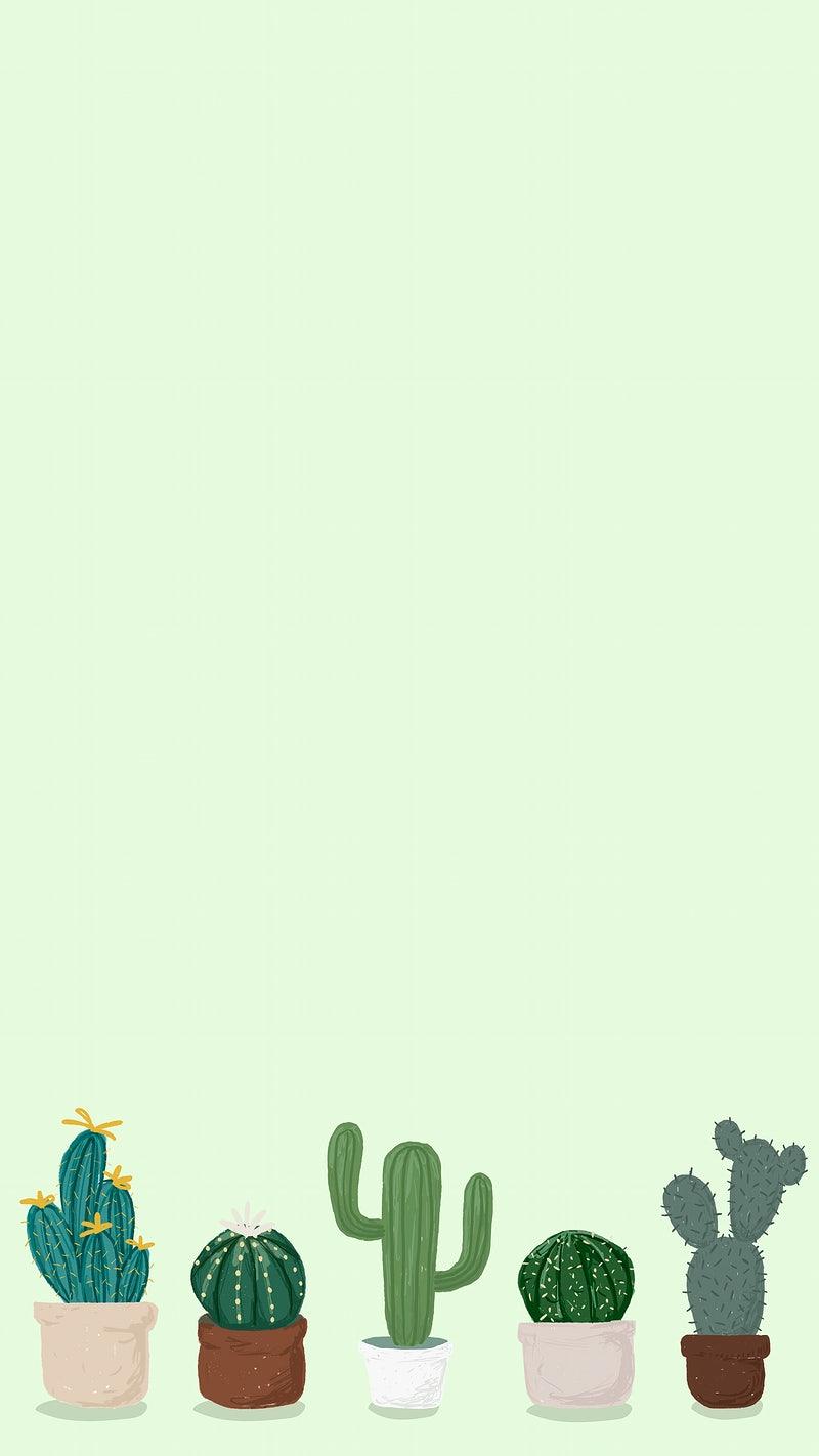 800x1422 Free Photo, PNG Stickers, Wallpaper & Background