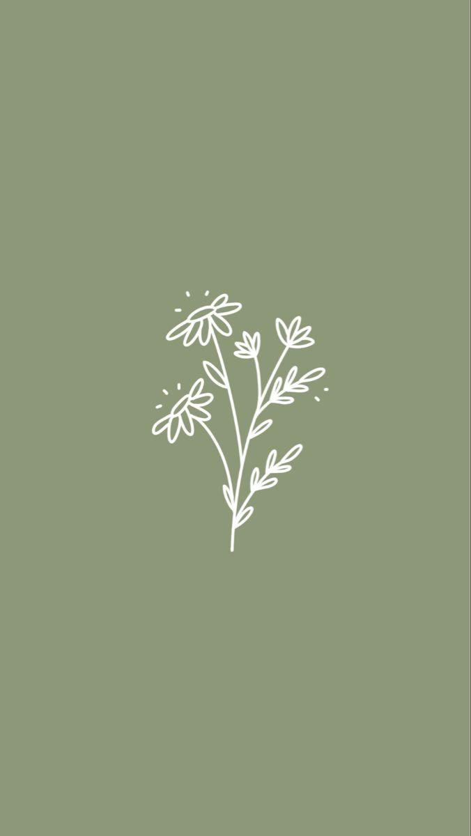 676x1200 Aesthetic Sage Green Phone Wallpaper