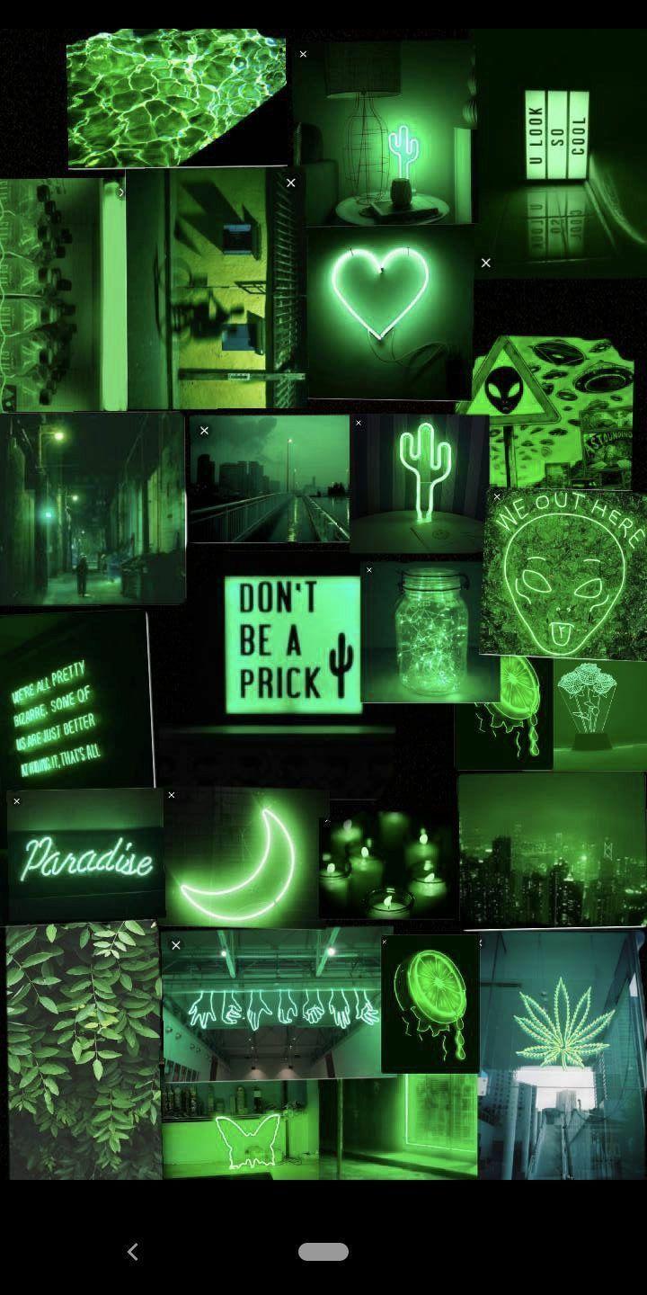 720x1440 √ Light Green Tumblr