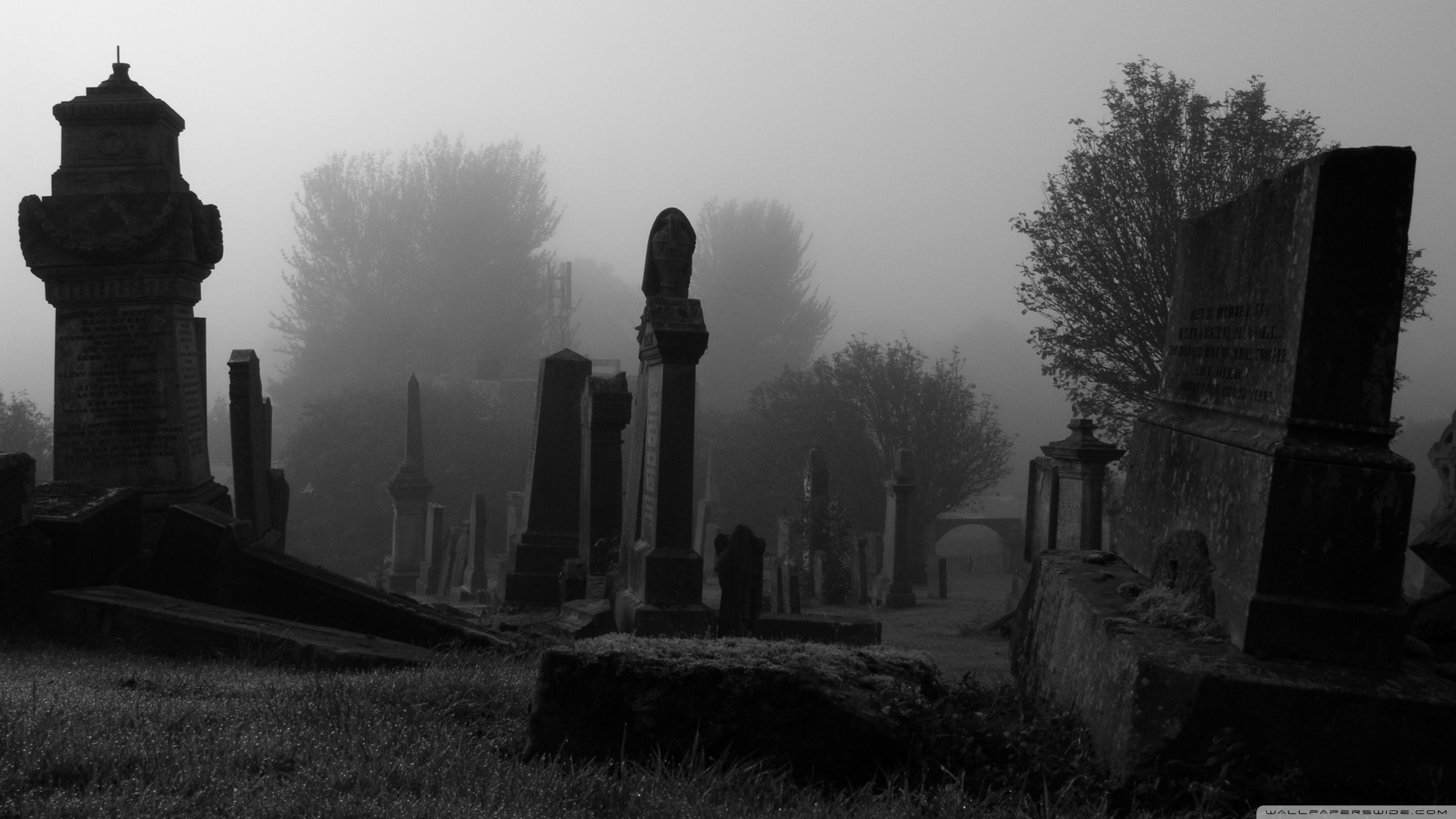 2880x1620 Spooky Cemetery Ultra HD Desktop Background Wallpaper for 4K UHD TV : Widescreen & UltraWide Desktop & Laptop : Tablet