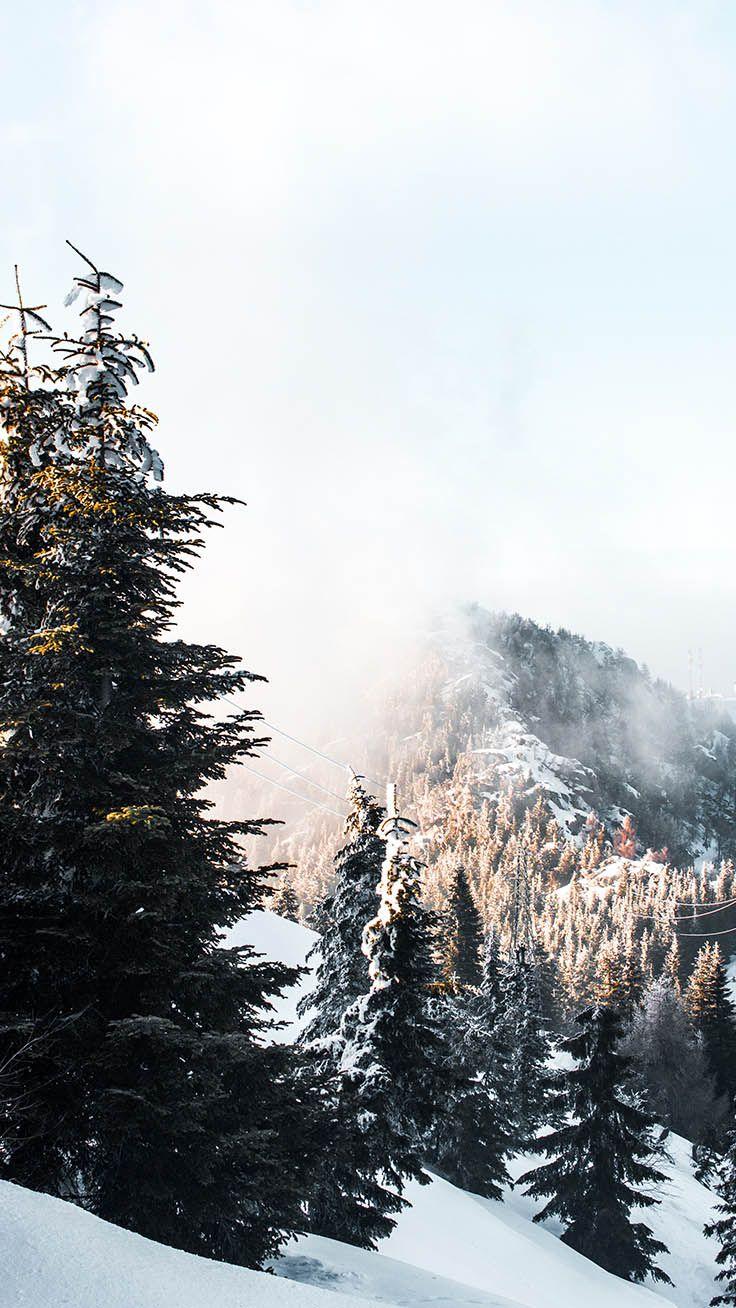 736x1308 Creative. iPhone wallpaper winter, Winter wallpaper, Winter background