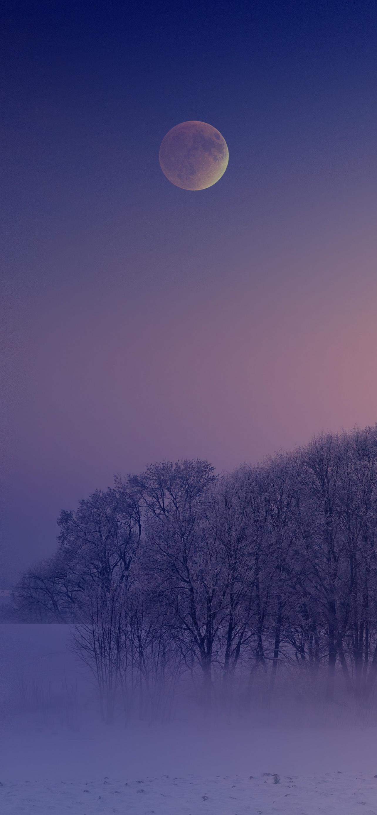 1284x2778 Winter Wallpaper 4K, Aesthetic, Morning, Foggy, Moon, Landscape, Cold, Nature