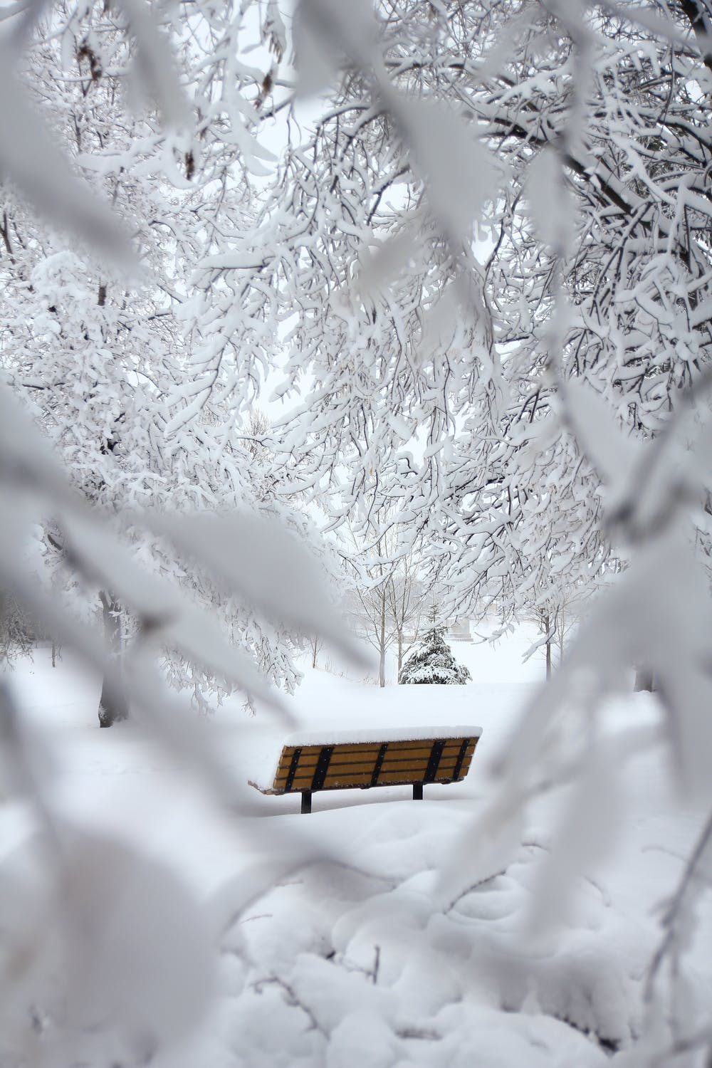 1000x1500 Free Beautiful Winter Wallpaper For iPhone That You'll Love