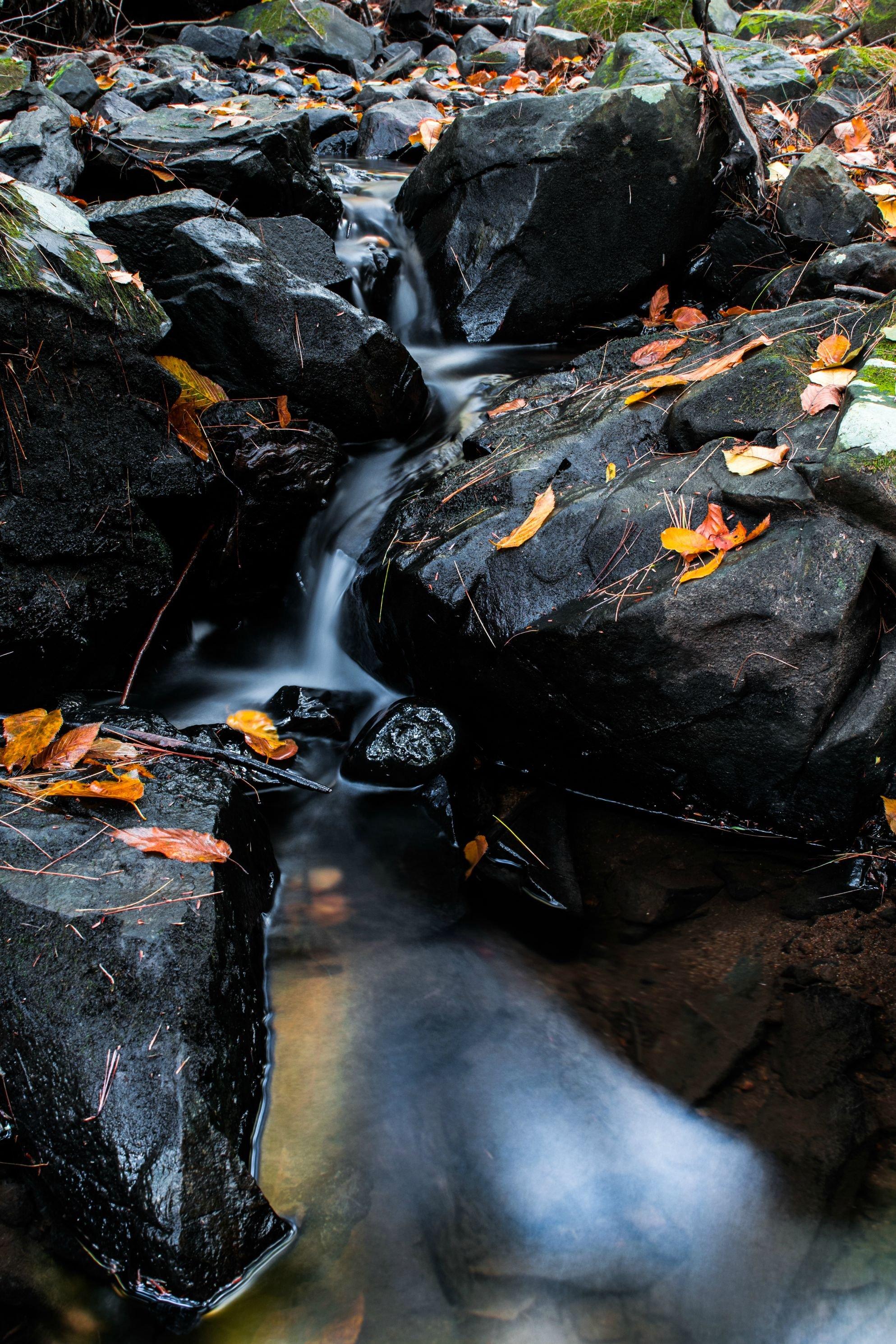 1987x2980 of Maine 4K wallpaper for your desktop or mobile screen