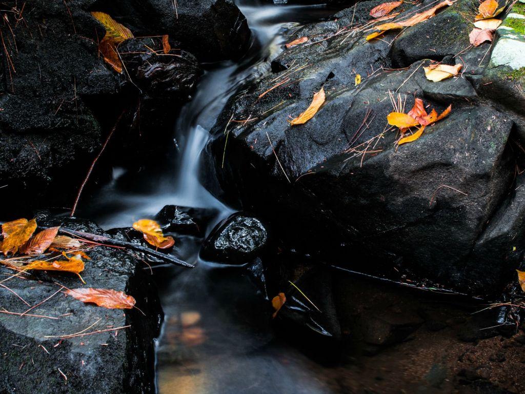 1024x768 of Maine 4K wallpaper for your desktop or mobile screen