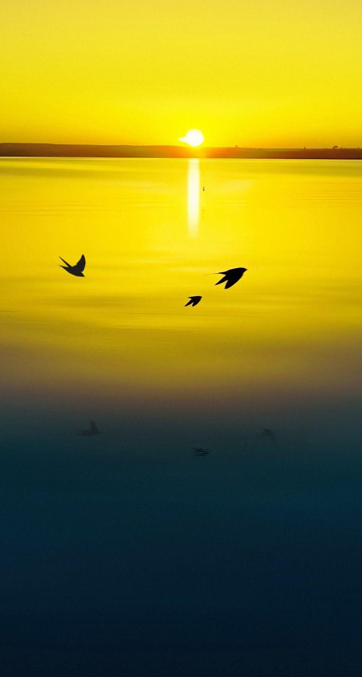 744x1392 Gold iPhone 5S Wallpaper