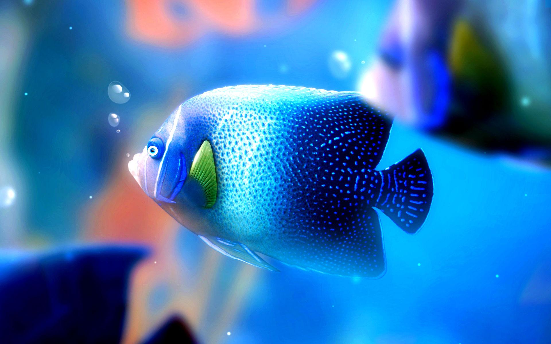 1920x1200 Big blue fish under the water