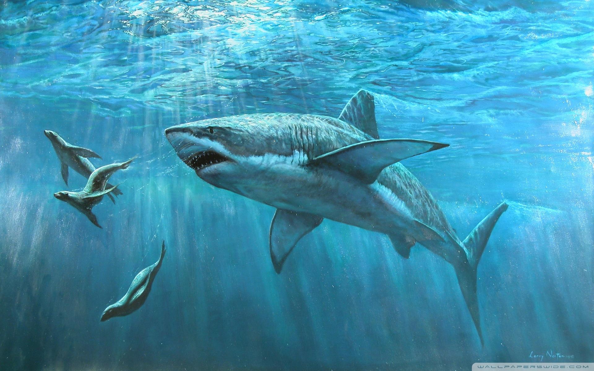 1920x1200 Great White Shark Painting Ultra HD Desktop Background Wallpaper for 4K UHD TV : Tablet