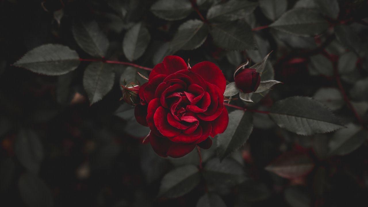 1280x720 Pin em Dark wallpaper