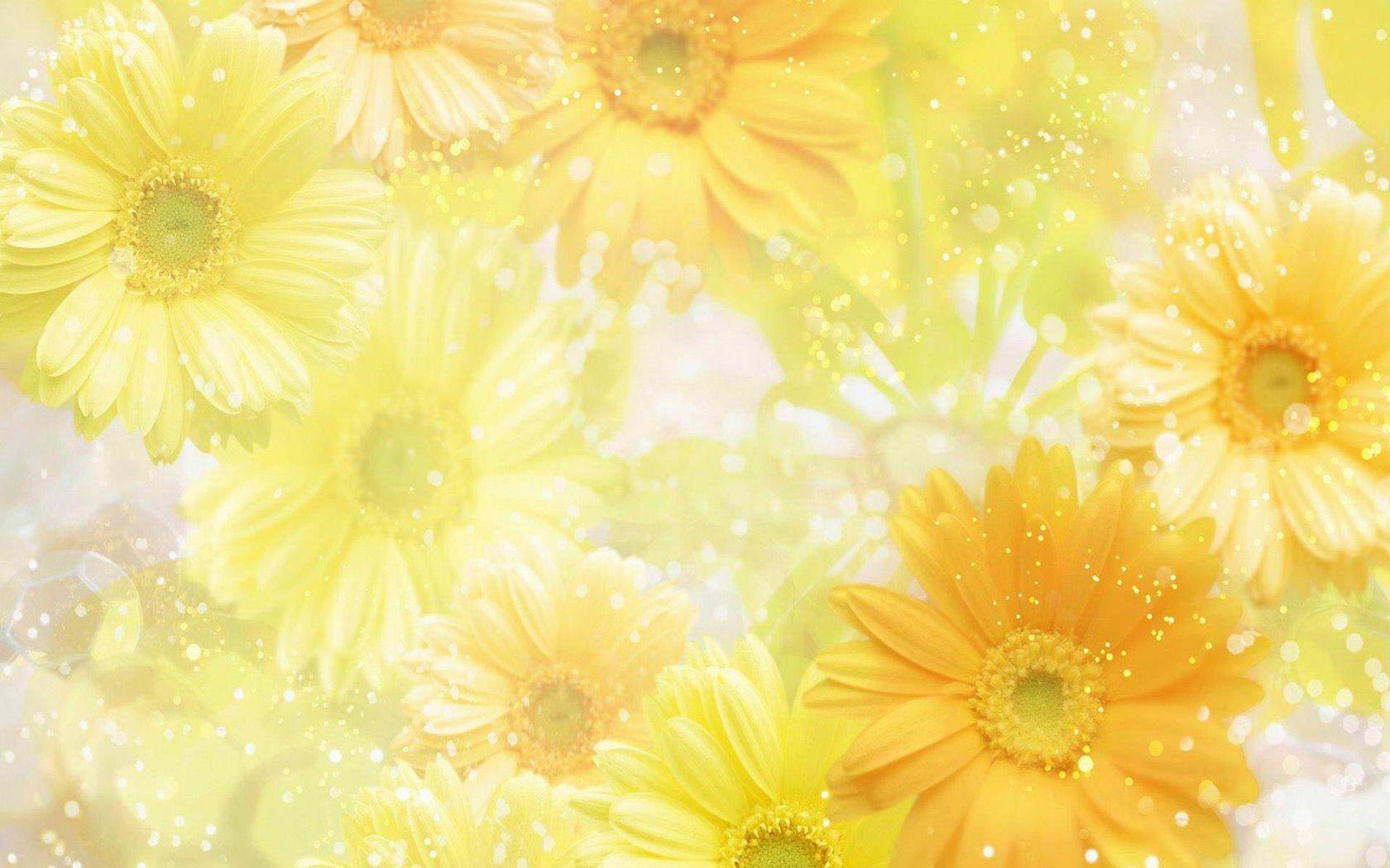 1680x1050 Bright Yellow Yellow Background Wallpaper HD
