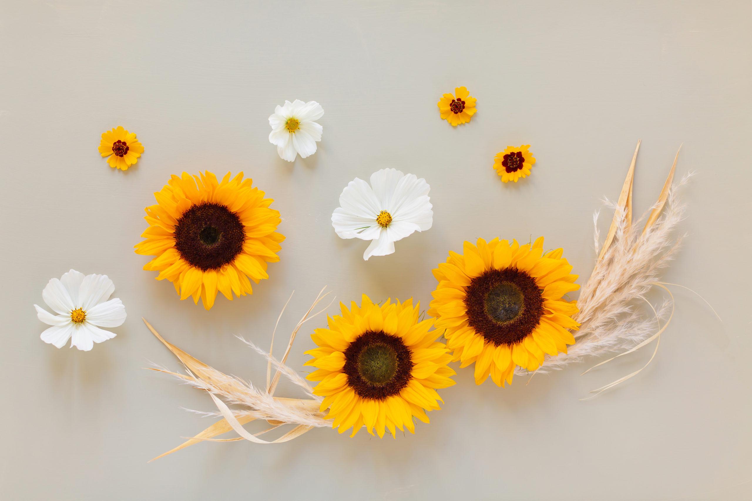 2560x1707 DIGITAL BLOOMS SEPTEMBER 2020. FREE DESKTOP WALLPAPER