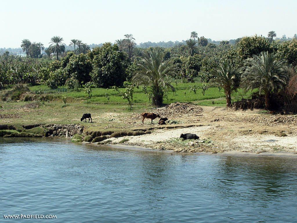 1024x768 River's Edge: Nile River, Egypt Photographs Moses, Joseph Free