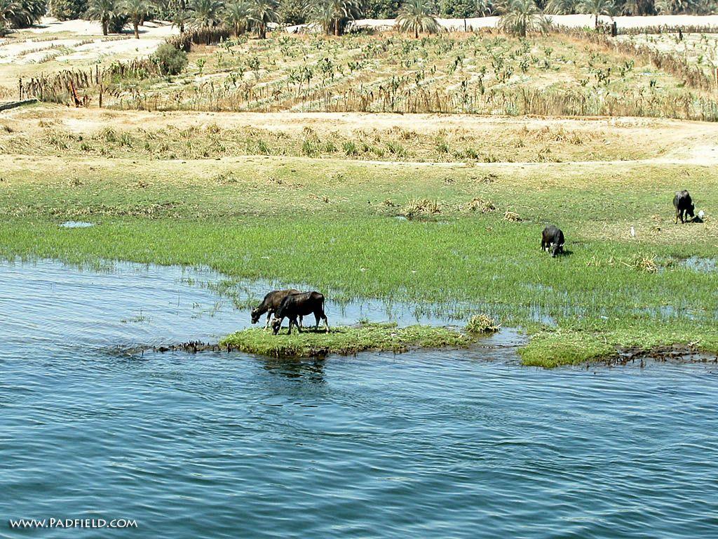 1024x768 Photographs of the Nile River in Egypt, Moses, Joseph