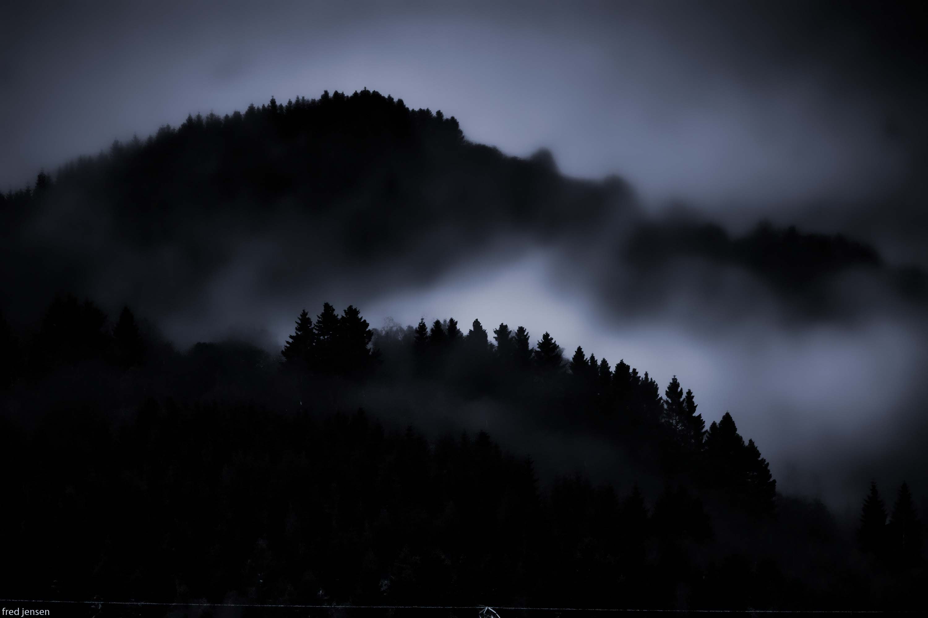 3000x2000 Dark Woods Wallpaper HD Download Free