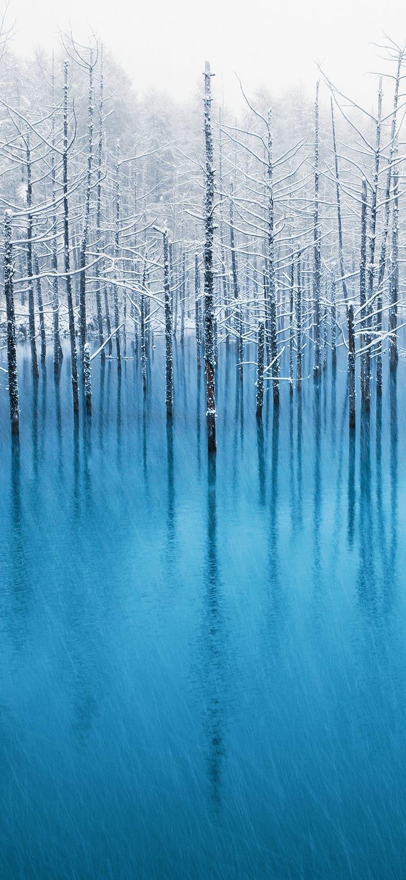 800x1732 Download Original iPhone Wallpaper HD