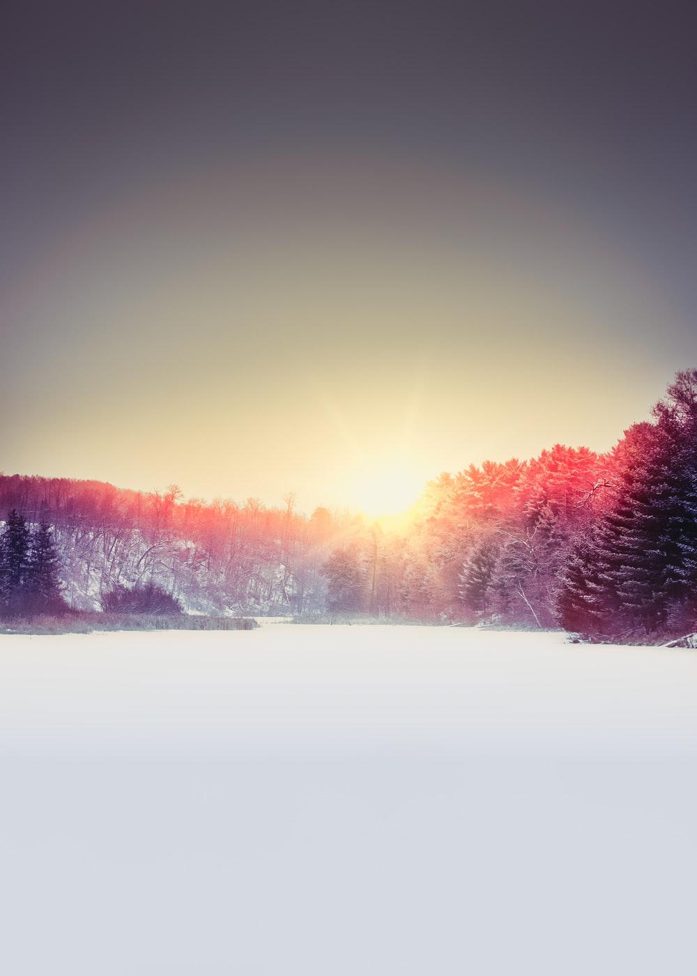 1000x1400 iPhone 6 Plus Wallpaper: Free HD Download [HQ]