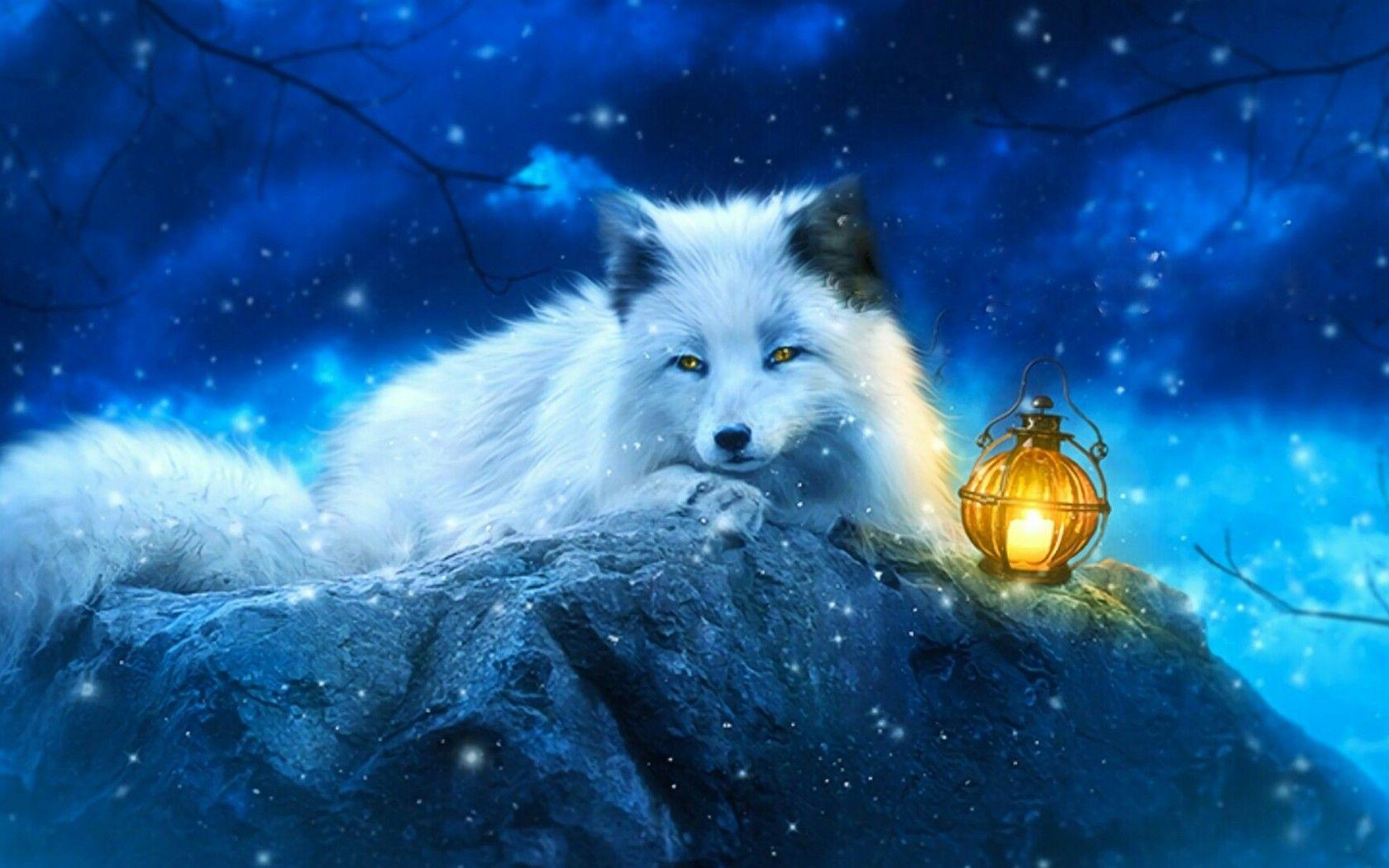 1680x1050 Arctic Fox Wallpaper