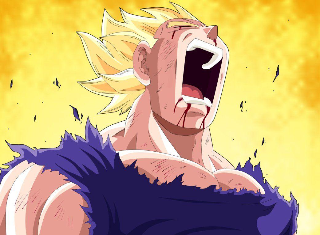 1041x767 Vegeta Wallpaper