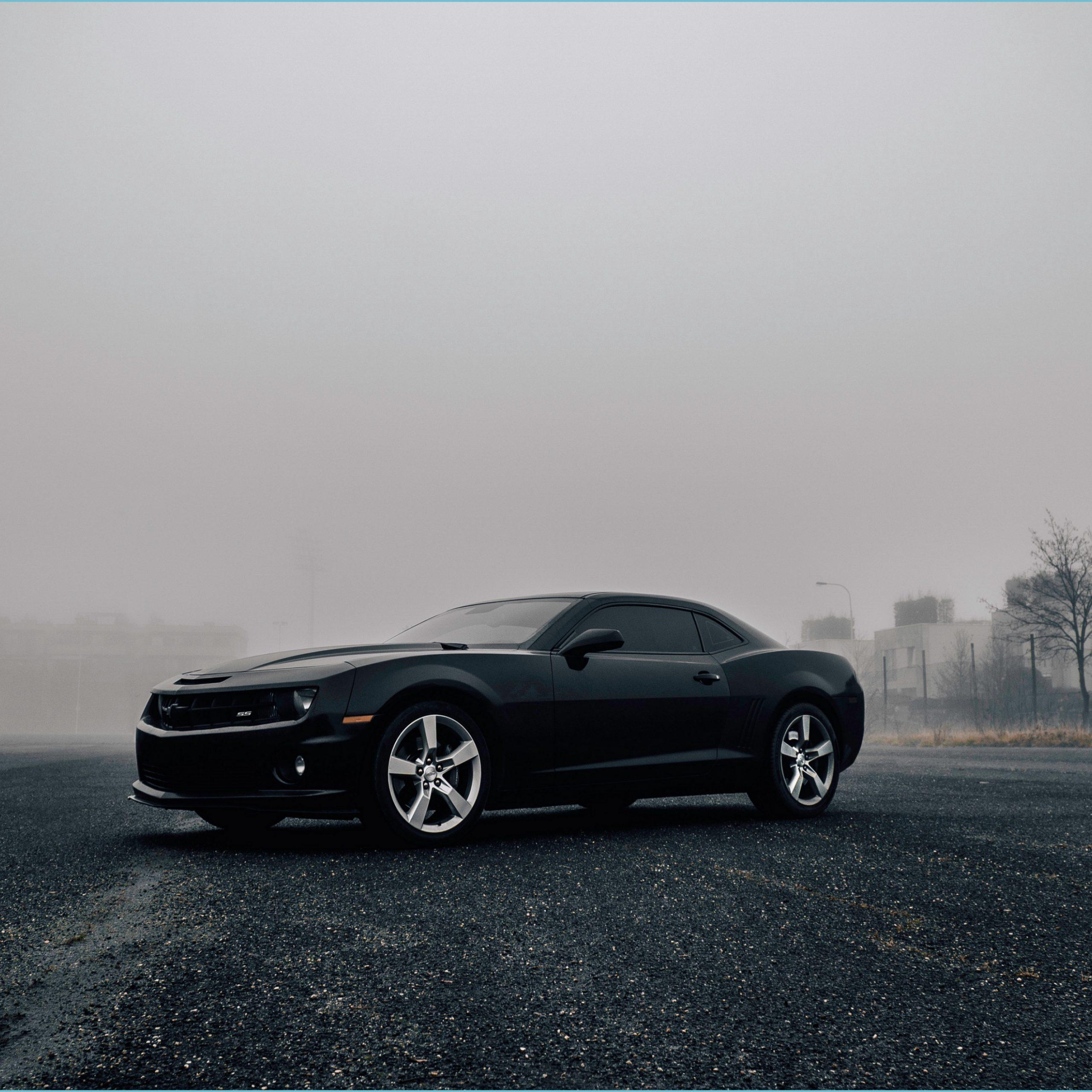 2560x2560 Black Camaro 8k Ultra 高清壁纸桌面背景3880x2800