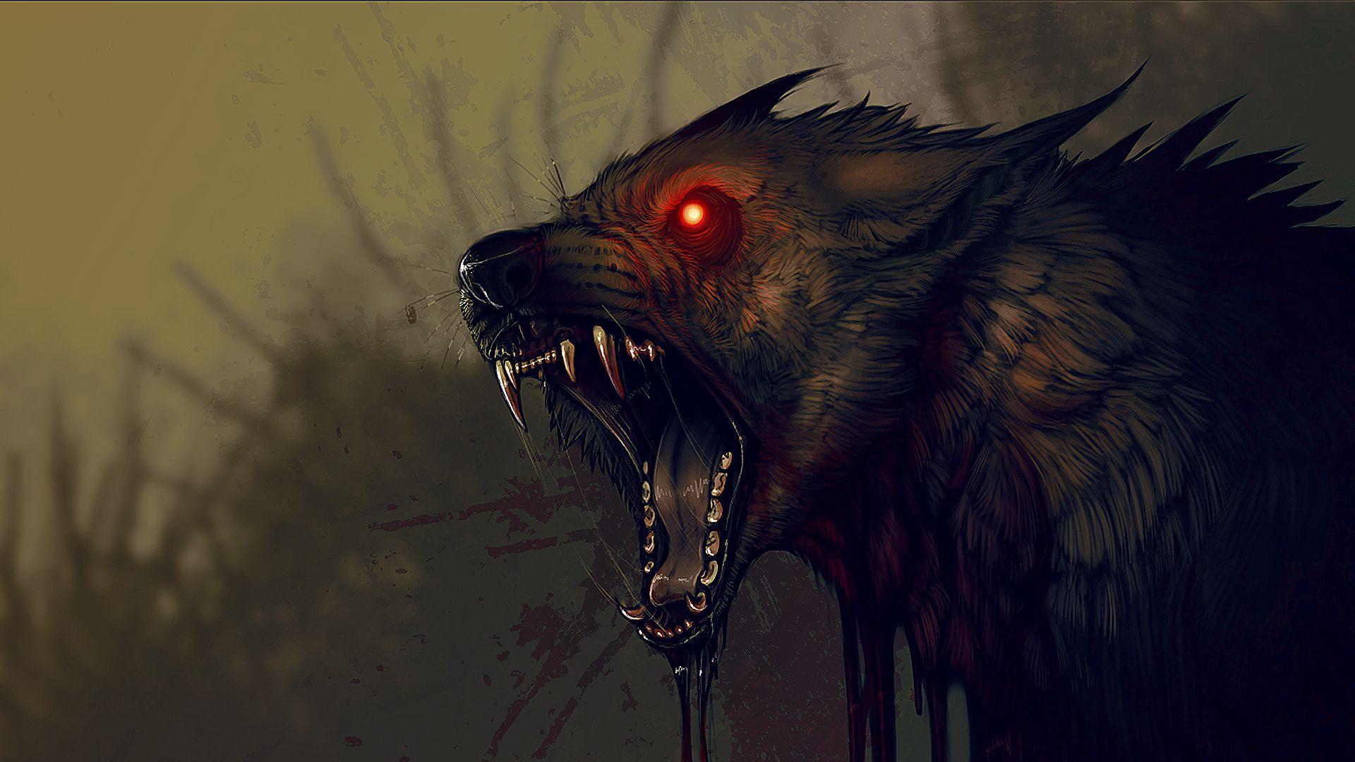 1920x1080 Cool Furry WallpaperK Ultra HD.05.2018