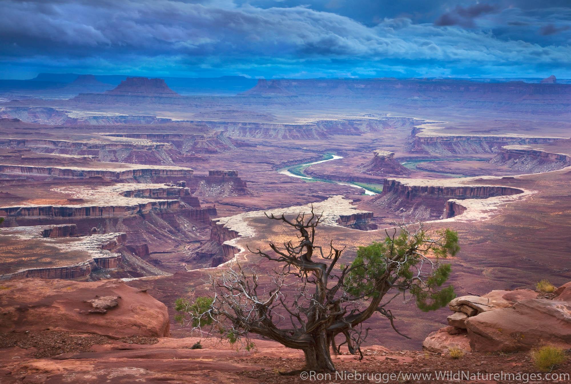 2000x1345 Canyonlands National Park Photo. Ron Niebrugge Photography