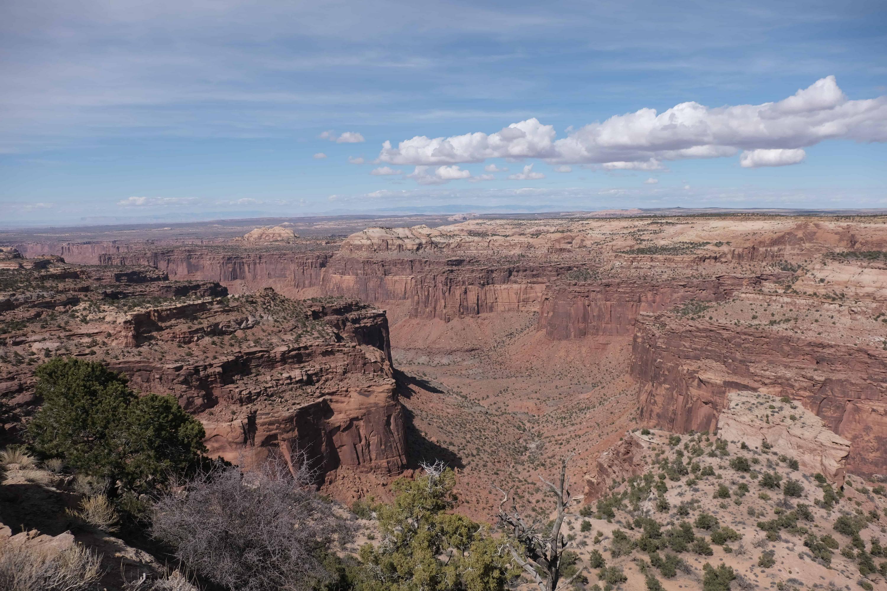 3000x2000 An Afternoon in Canyonlands National Park, Island in the Sky District is Wide