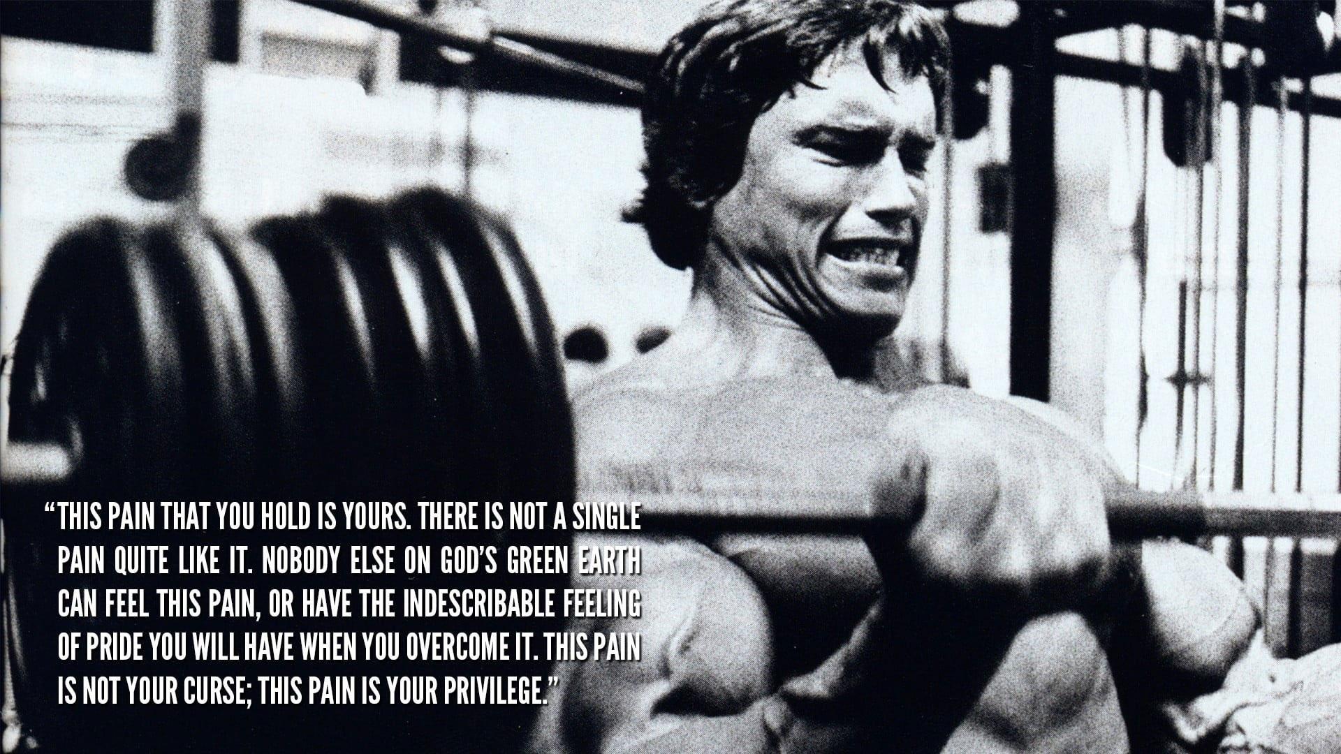 1920x1080 Arnold Schwarzenegger wallpaper, Bodybuilder, bodybuilding, motivational • Wallpaper For You HD Wallpaper For Desktop & Mobile