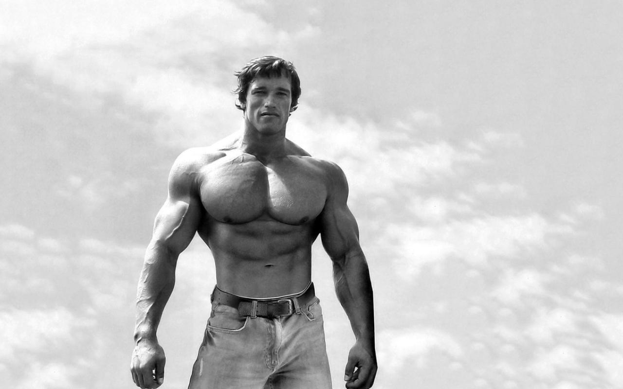 1280x800 Arnold Schwarzenegger Black And White Wallpaper 1280x800 Resolution Wallpaper, HD Celebrities 4K Wallpaper, Image, Photo and Background