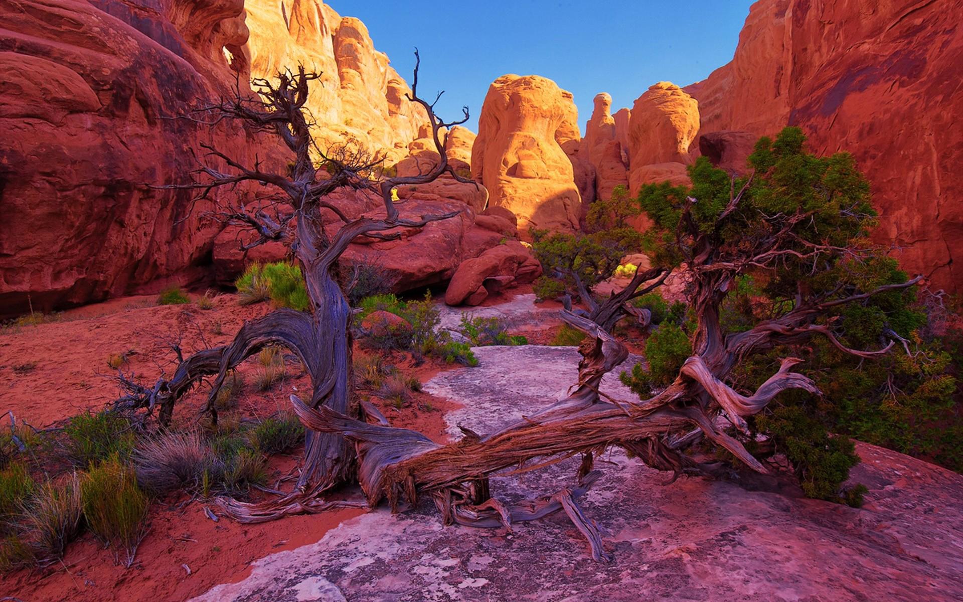 1920x1200 Arches National Park Wallpaper